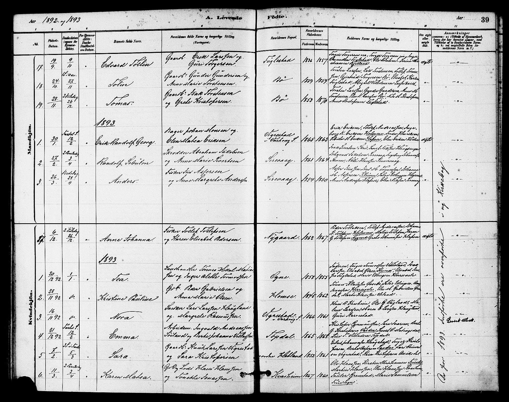 Eigersund sokneprestkontor, AV/SAST-A-101807/S08/L0016: Parish register (official) no. A 16, 1879-1893, p. 39