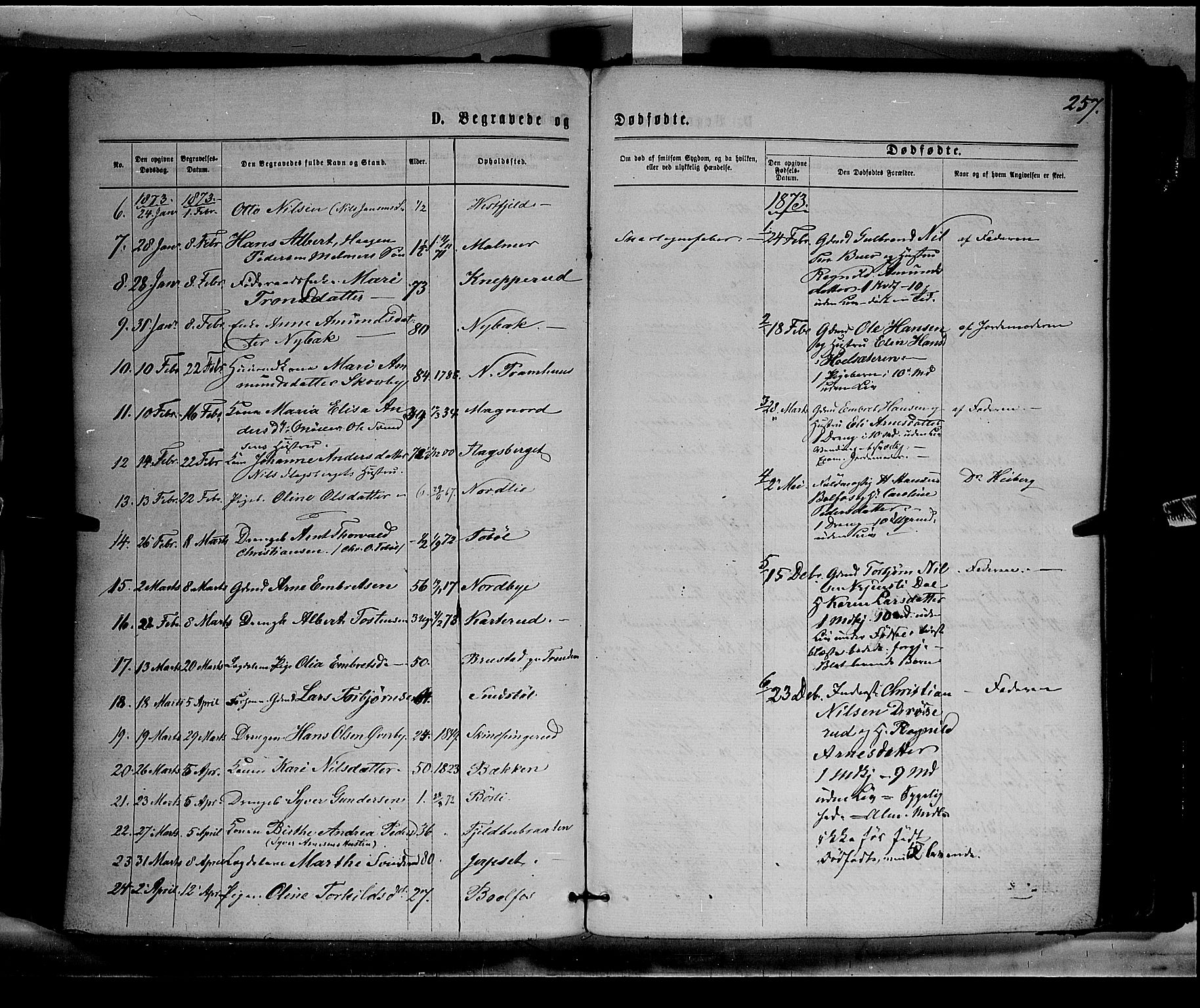 Eidskog prestekontor, AV/SAH-PREST-026/H/Ha/Haa/L0002: Parish register (official) no. 2, 1867-1878, p. 257