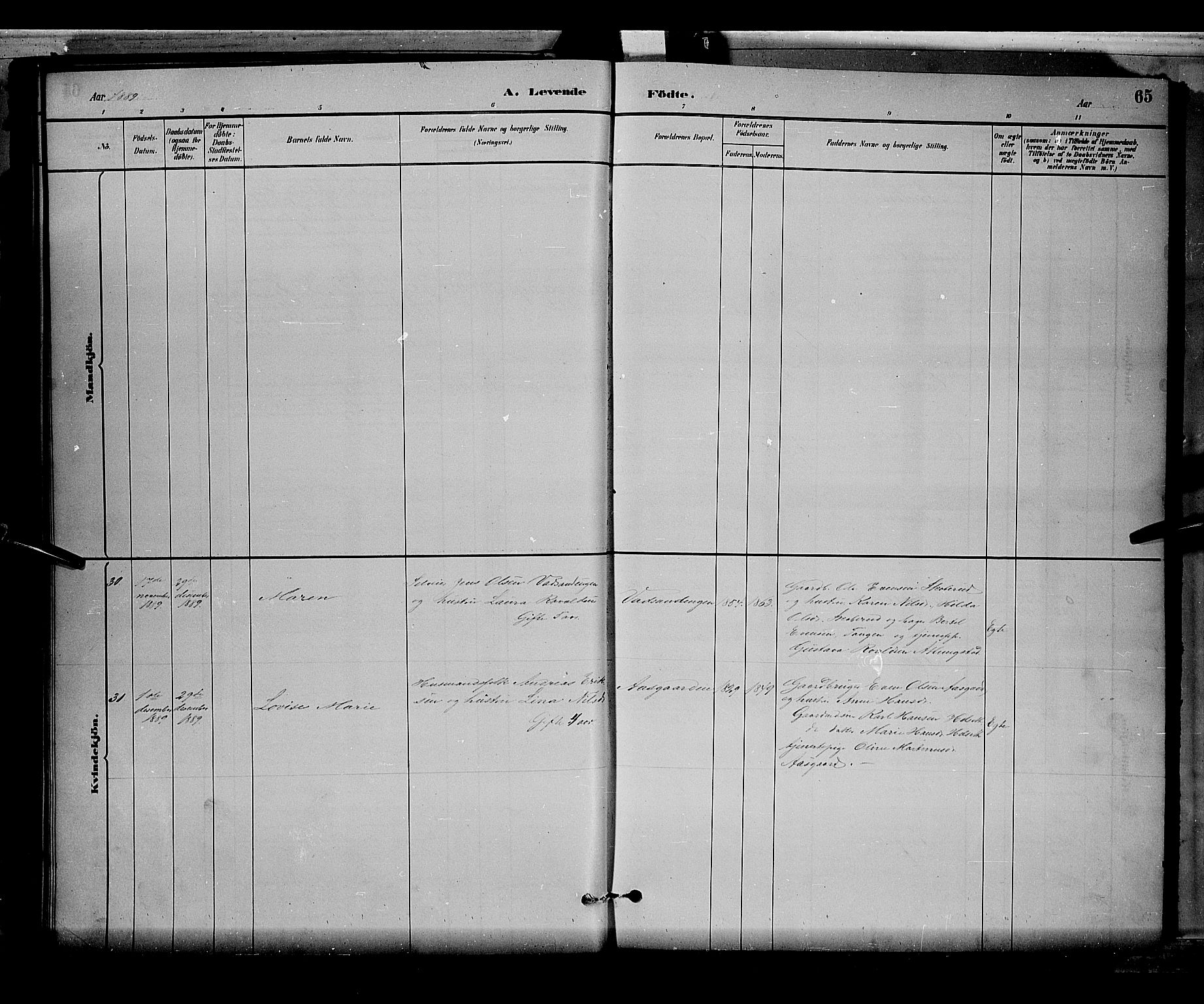 Stange prestekontor, AV/SAH-PREST-002/L/L0008: Parish register (copy) no. 8, 1882-1895, p. 65