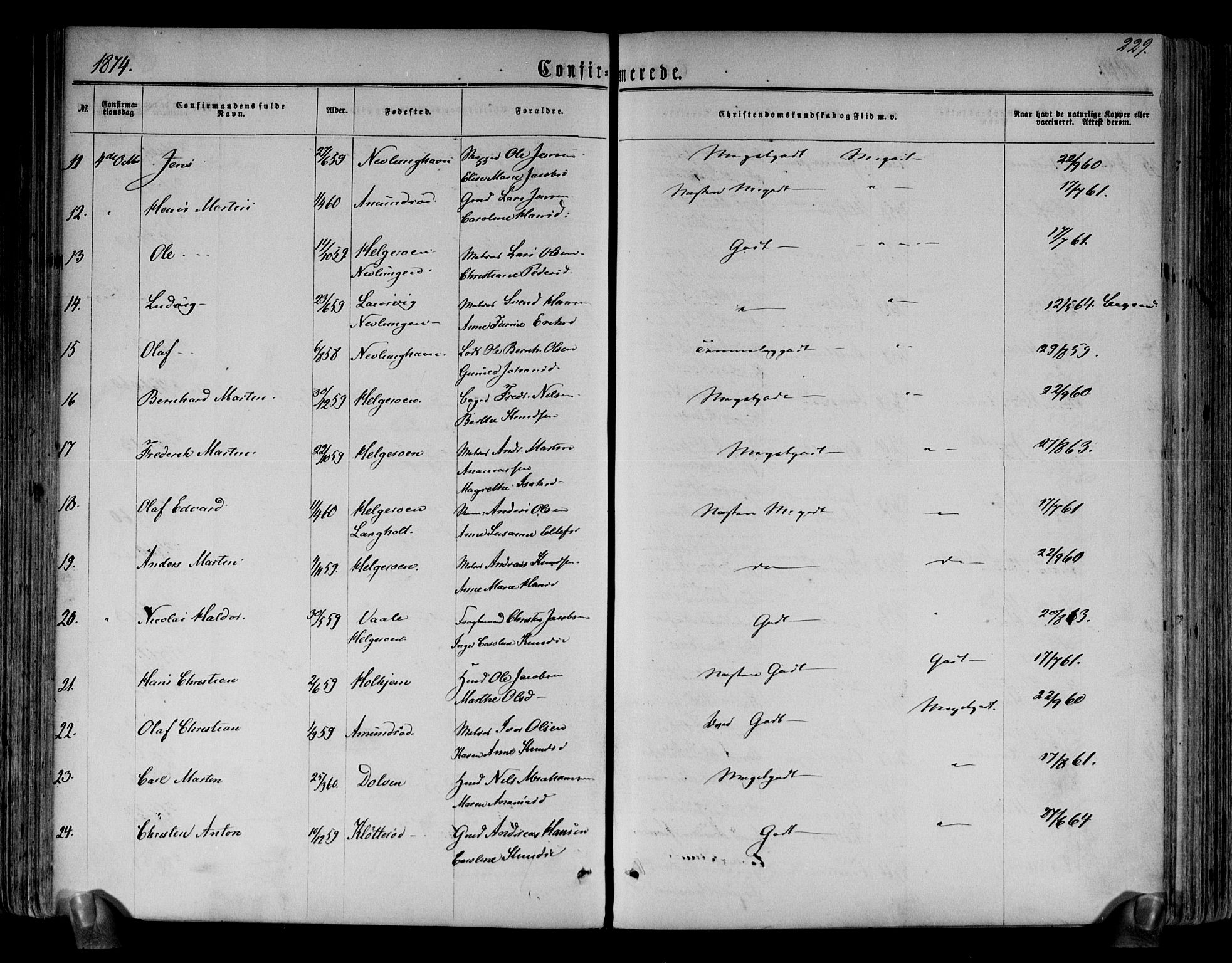 Brunlanes kirkebøker, SAKO/A-342/F/Fa/L0005: Parish register (official) no. I 5, 1862-1877, p. 229