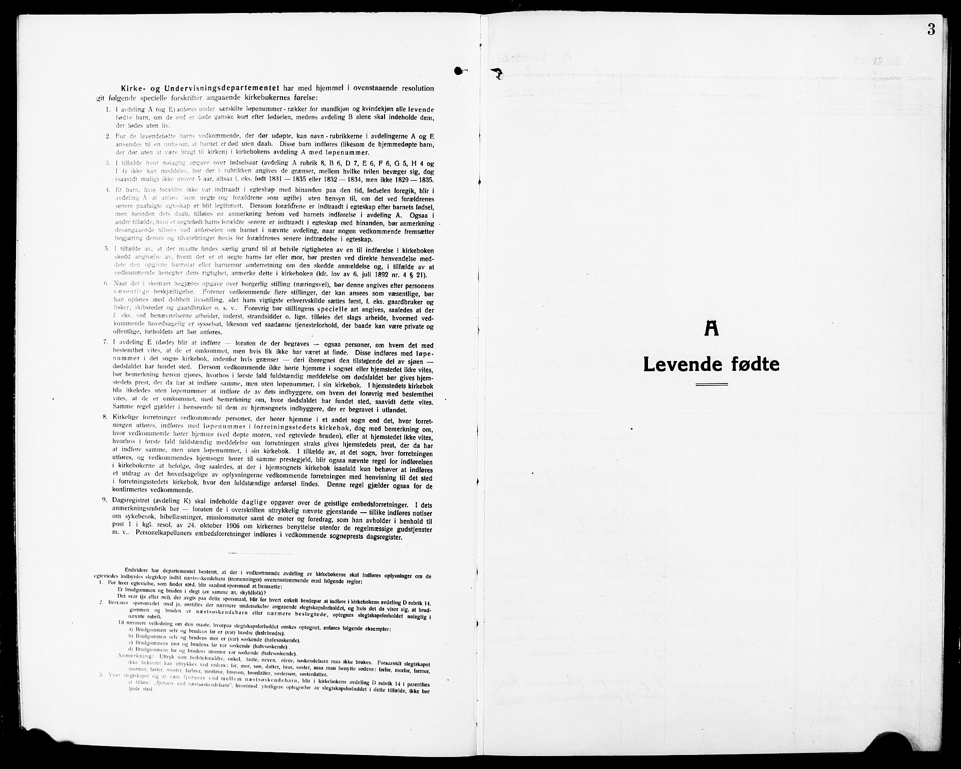 Nannestad prestekontor Kirkebøker, SAO/A-10414a/G/Ga/L0003: Parish register (copy) no. I 3, 1914-1929, p. 3