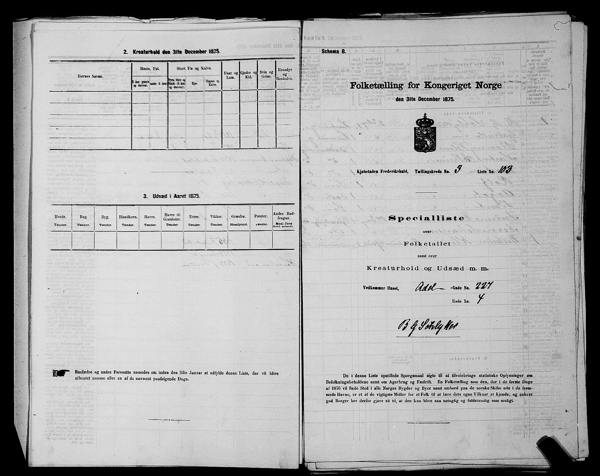 RA, 1875 census for 0101P Fredrikshald, 1875, p. 244