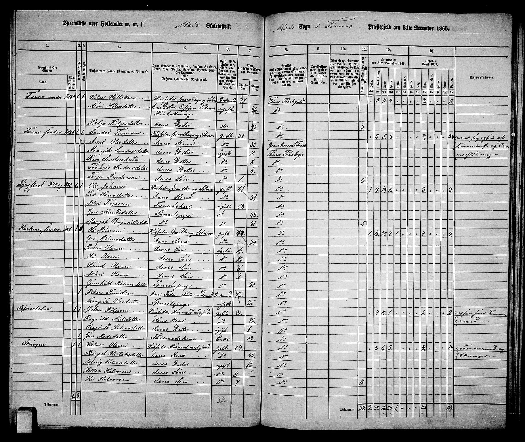 RA, 1865 census for Tinn, 1865, p. 82