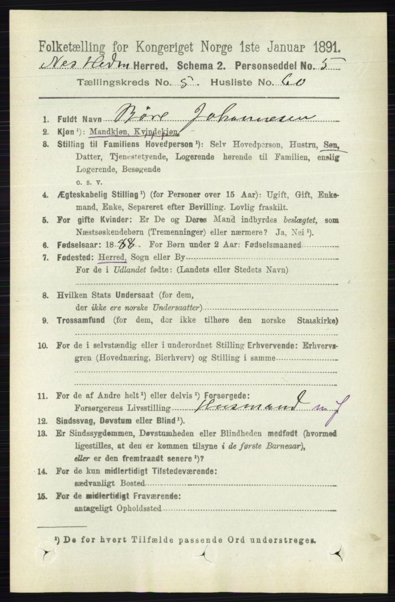 RA, 1891 census for 0411 Nes, 1891, p. 2994