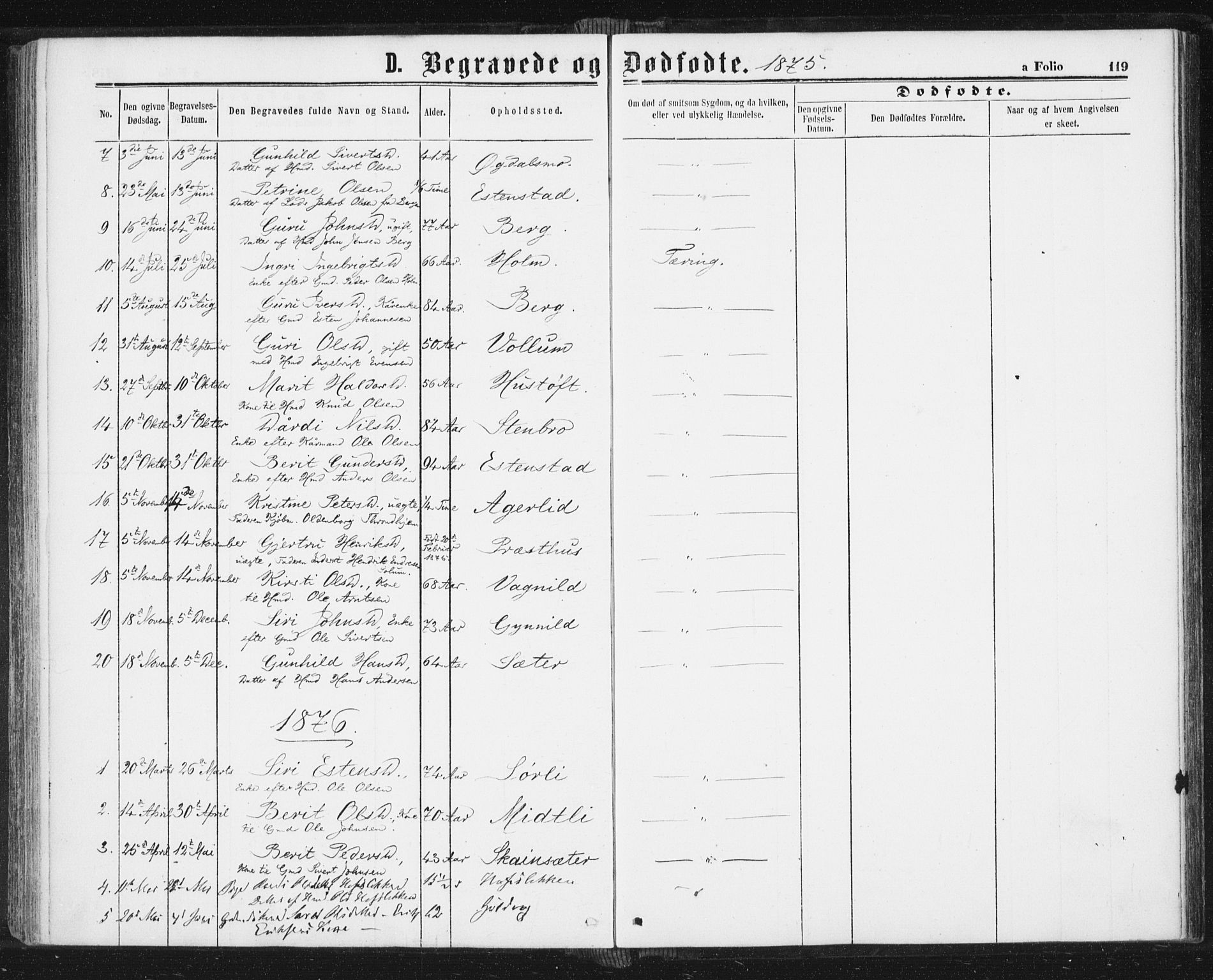 Ministerialprotokoller, klokkerbøker og fødselsregistre - Sør-Trøndelag, SAT/A-1456/689/L1039: Parish register (official) no. 689A04, 1865-1878, p. 119