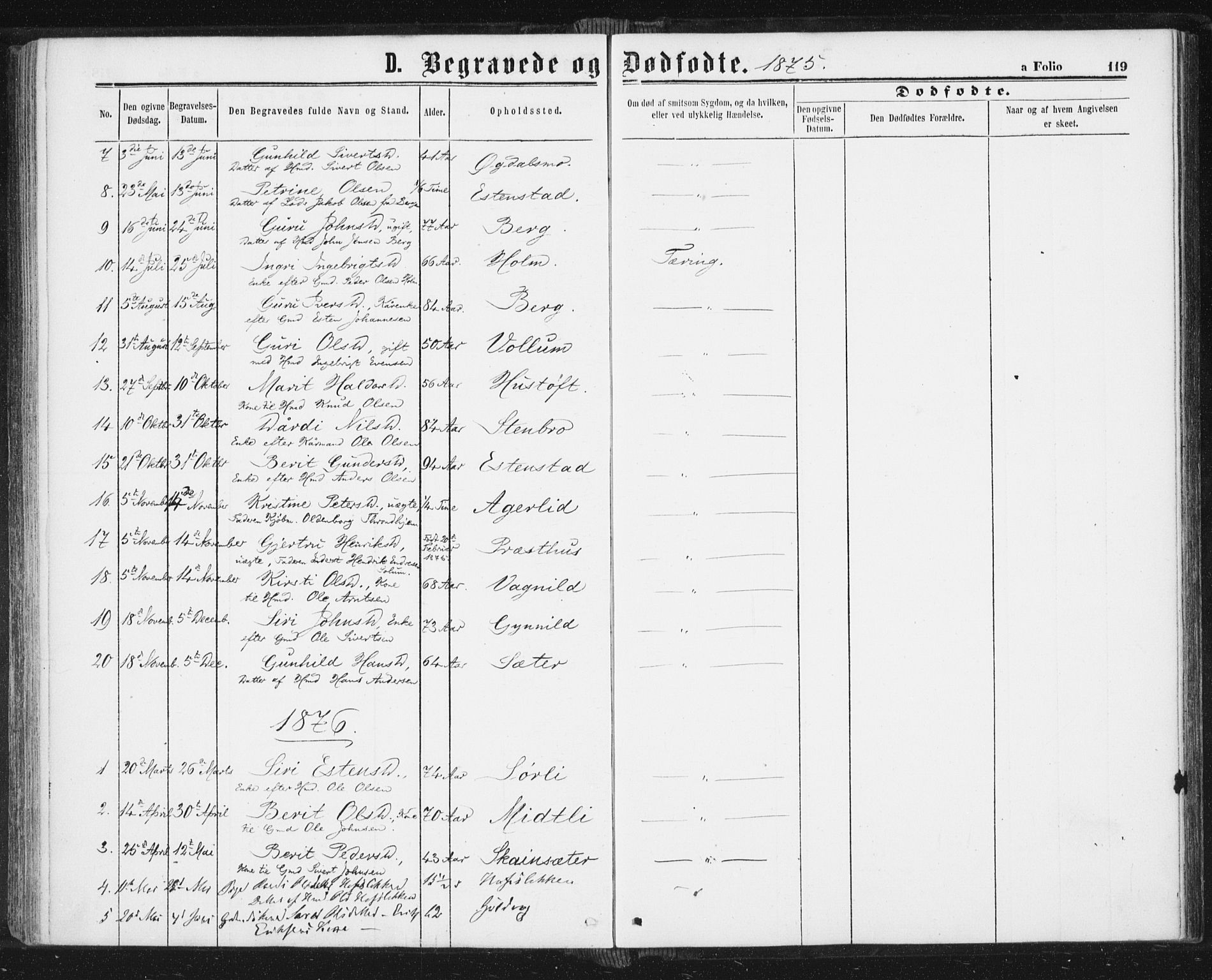 Ministerialprotokoller, klokkerbøker og fødselsregistre - Sør-Trøndelag, AV/SAT-A-1456/689/L1039: Parish register (official) no. 689A04, 1865-1878, p. 119