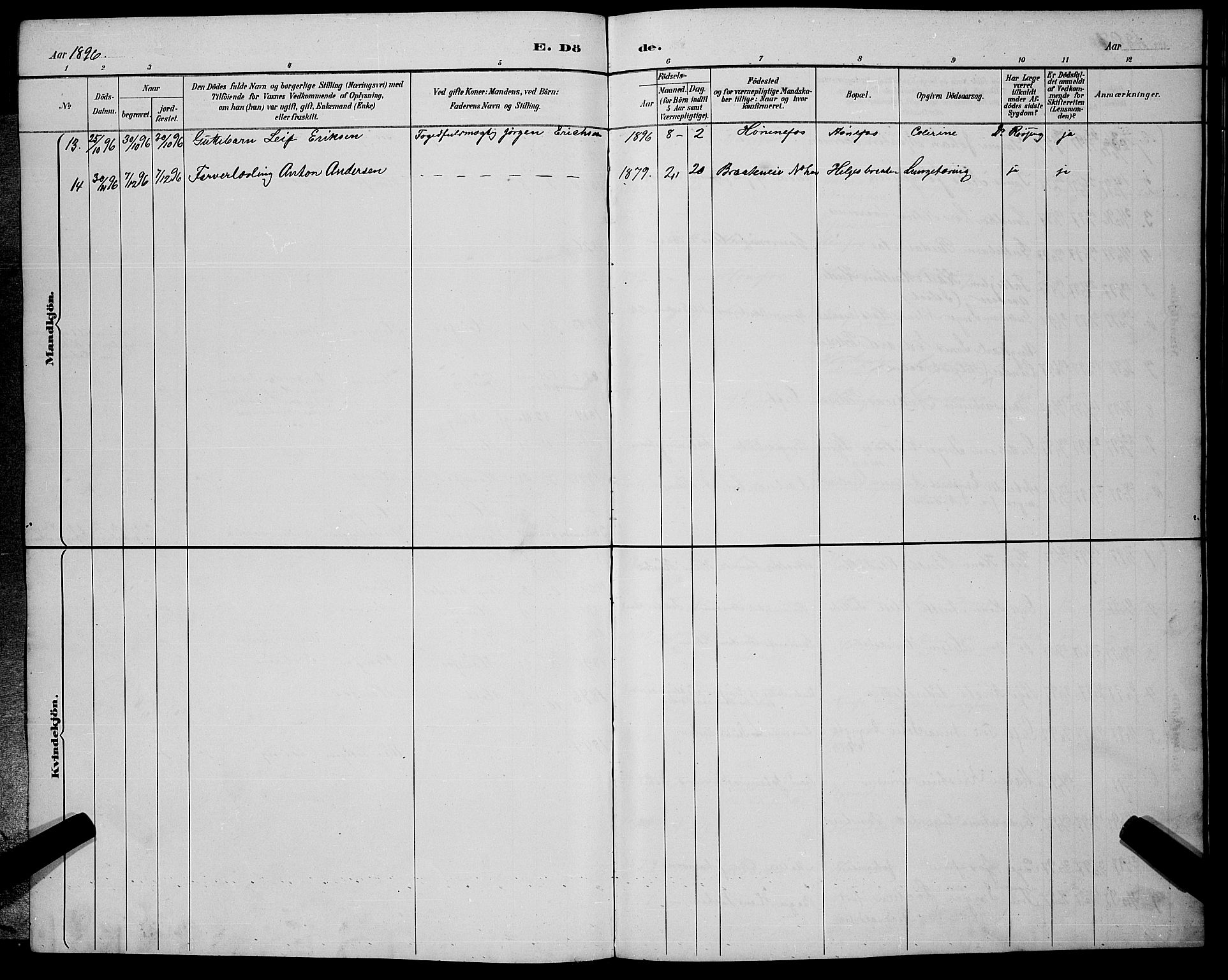 Hønefoss kirkebøker, AV/SAKO-A-609/G/Ga/L0002: Parish register (copy) no. 2, 1888-1904