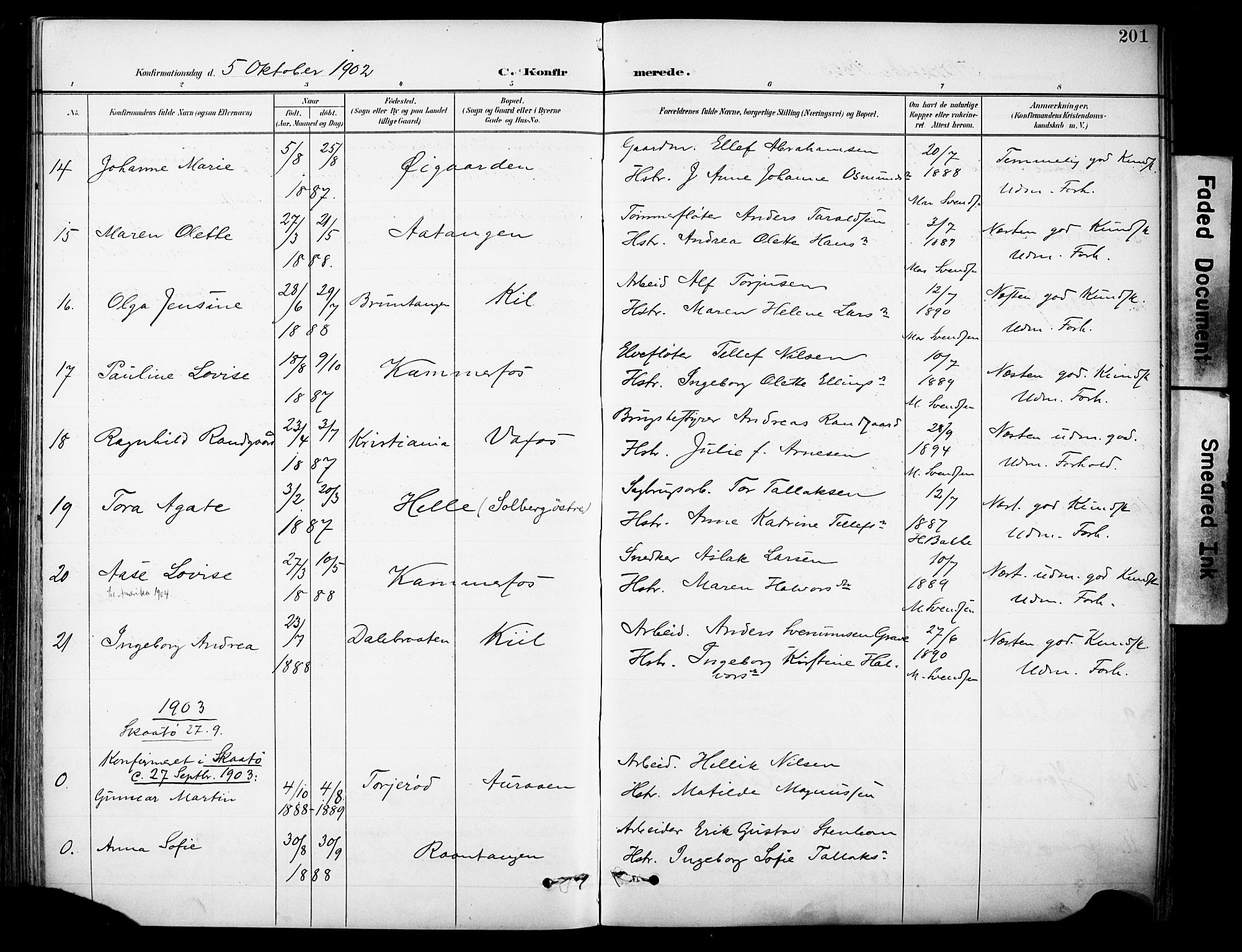 Sannidal kirkebøker, AV/SAKO-A-296/F/Fa/L0016: Parish register (official) no. 16, 1895-1911, p. 201