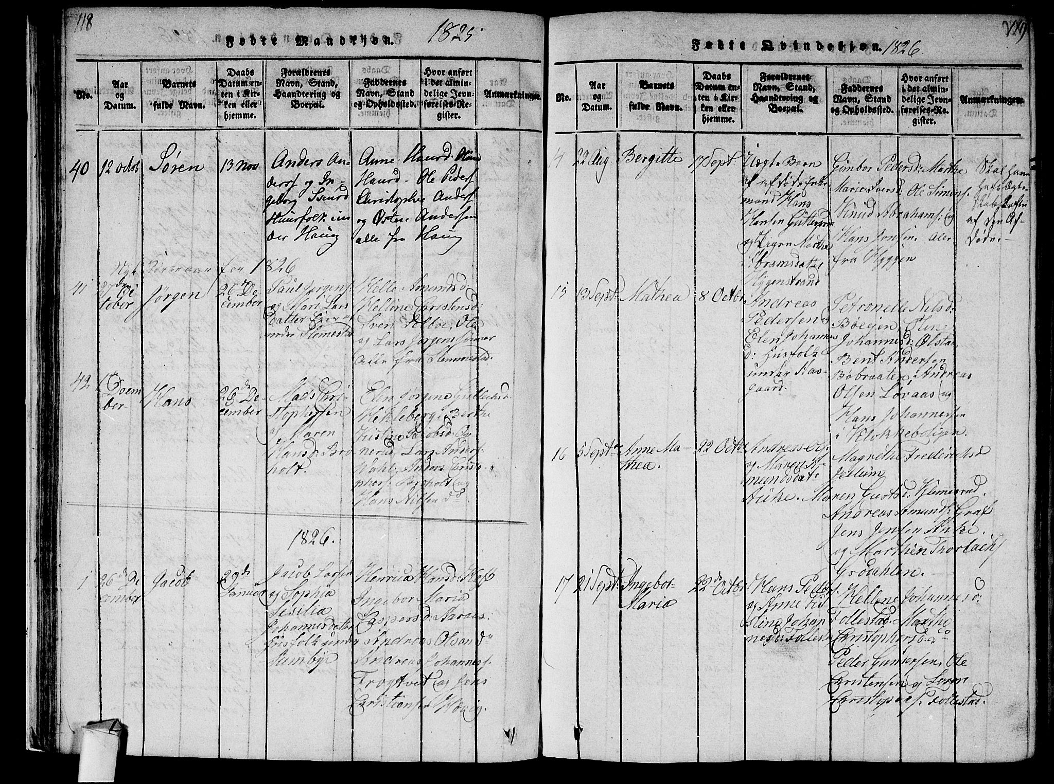 Røyken kirkebøker, SAKO/A-241/F/Fa/L0004: Parish register (official) no. 4, 1814-1832, p. 118-119