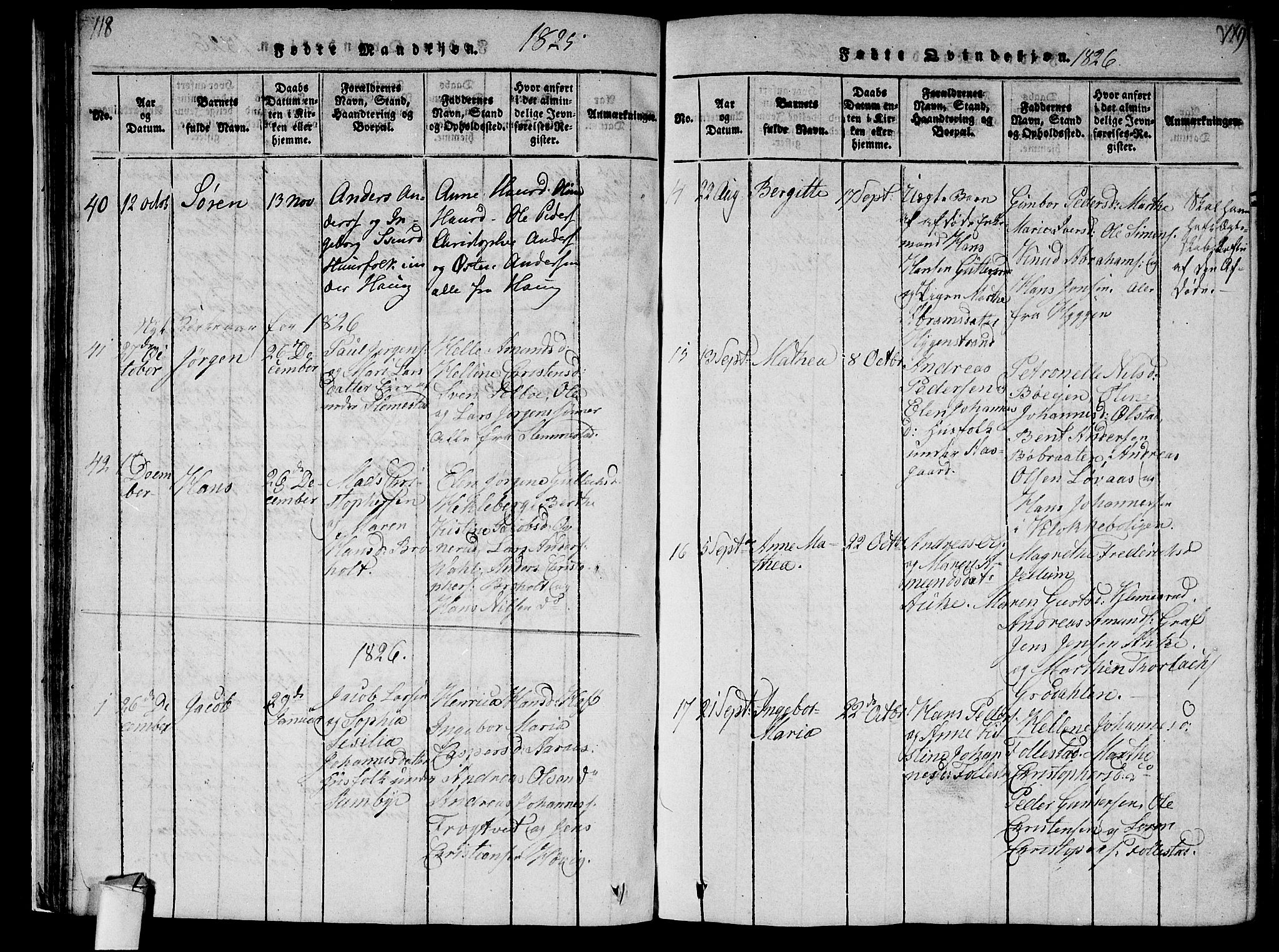 Røyken kirkebøker, AV/SAKO-A-241/F/Fa/L0004: Parish register (official) no. 4, 1814-1832, p. 118-119