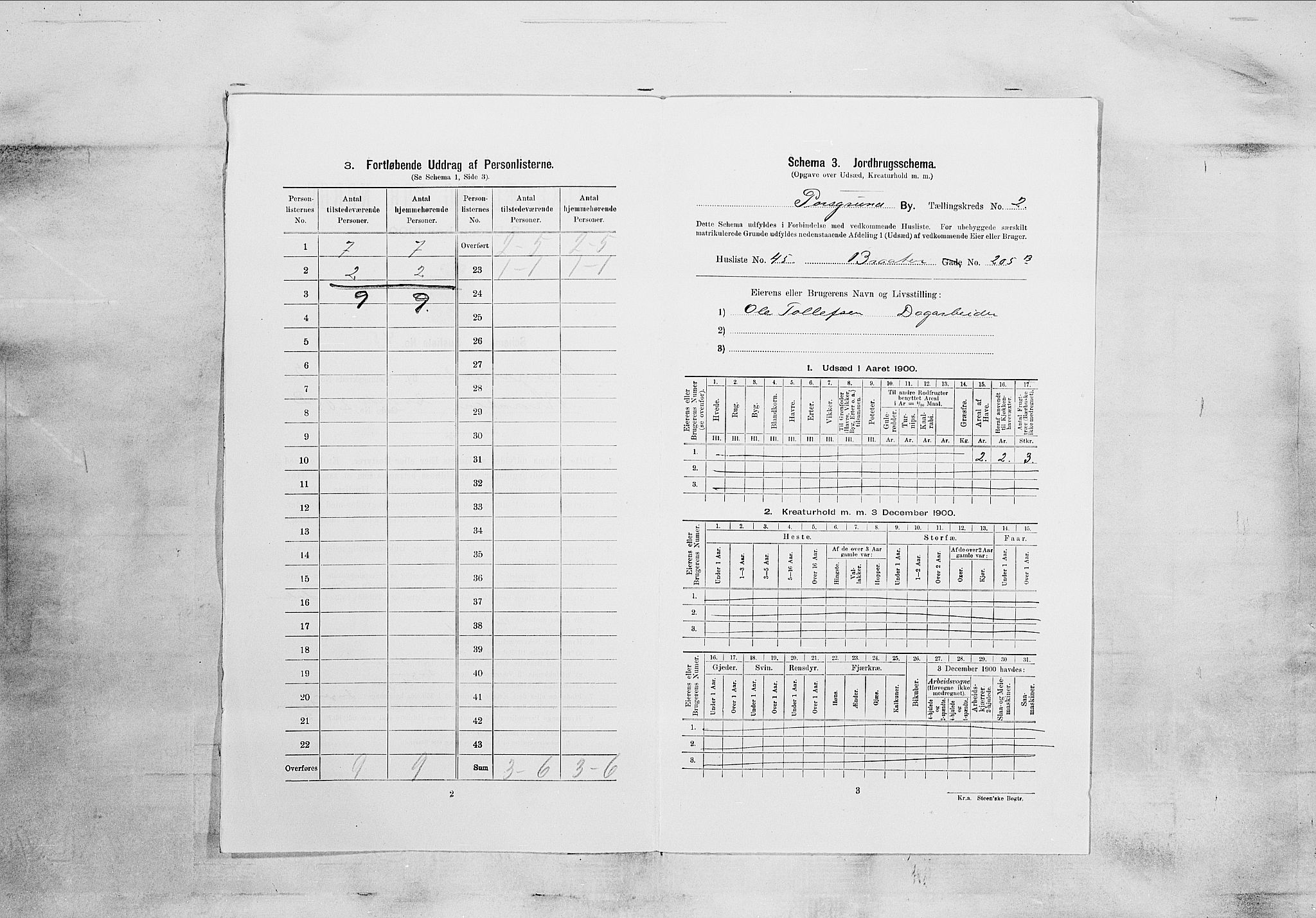 SAKO, 1900 census for Porsgrunn, 1900, p. 345