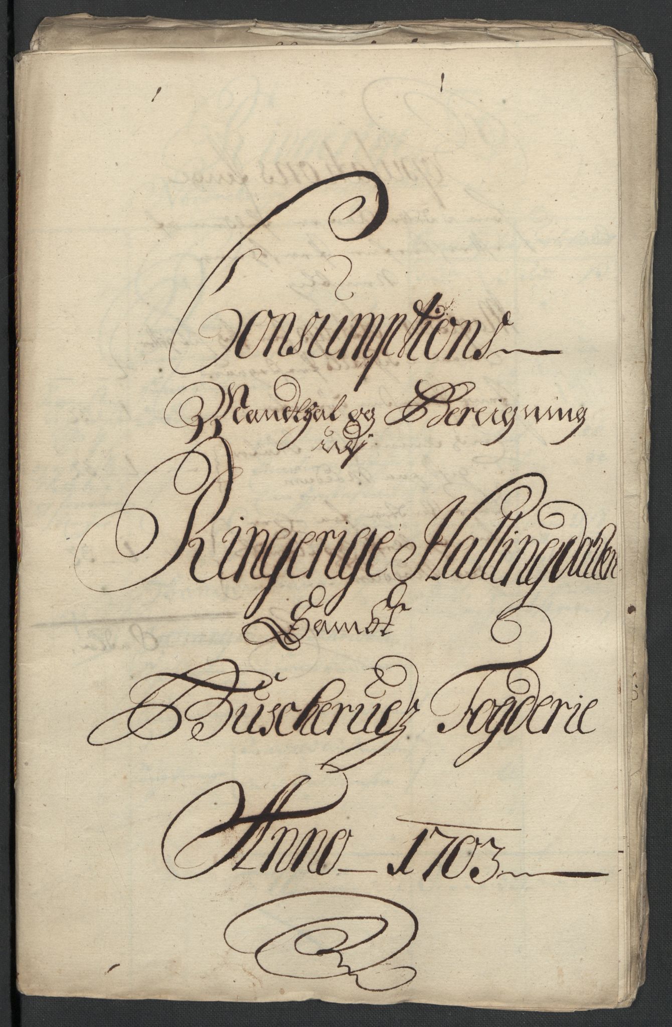 Rentekammeret inntil 1814, Reviderte regnskaper, Fogderegnskap, RA/EA-4092/R22/L1461: Fogderegnskap Ringerike, Hallingdal og Buskerud, 1703, p. 203