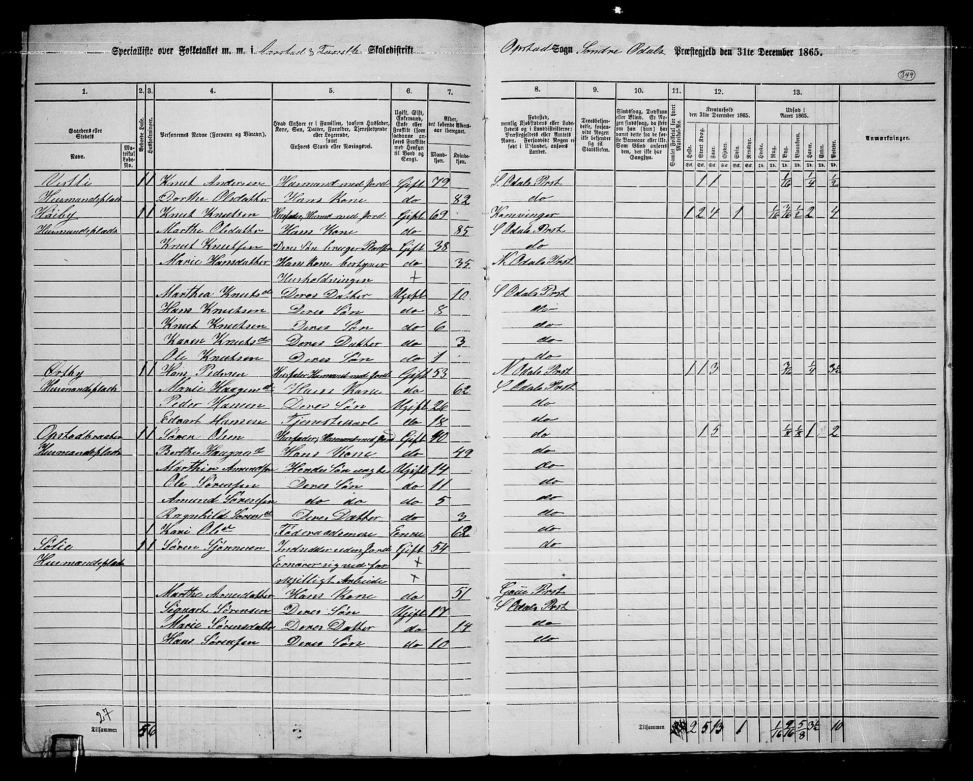 RA, 1865 census for Sør-Odal, 1865, p. 308