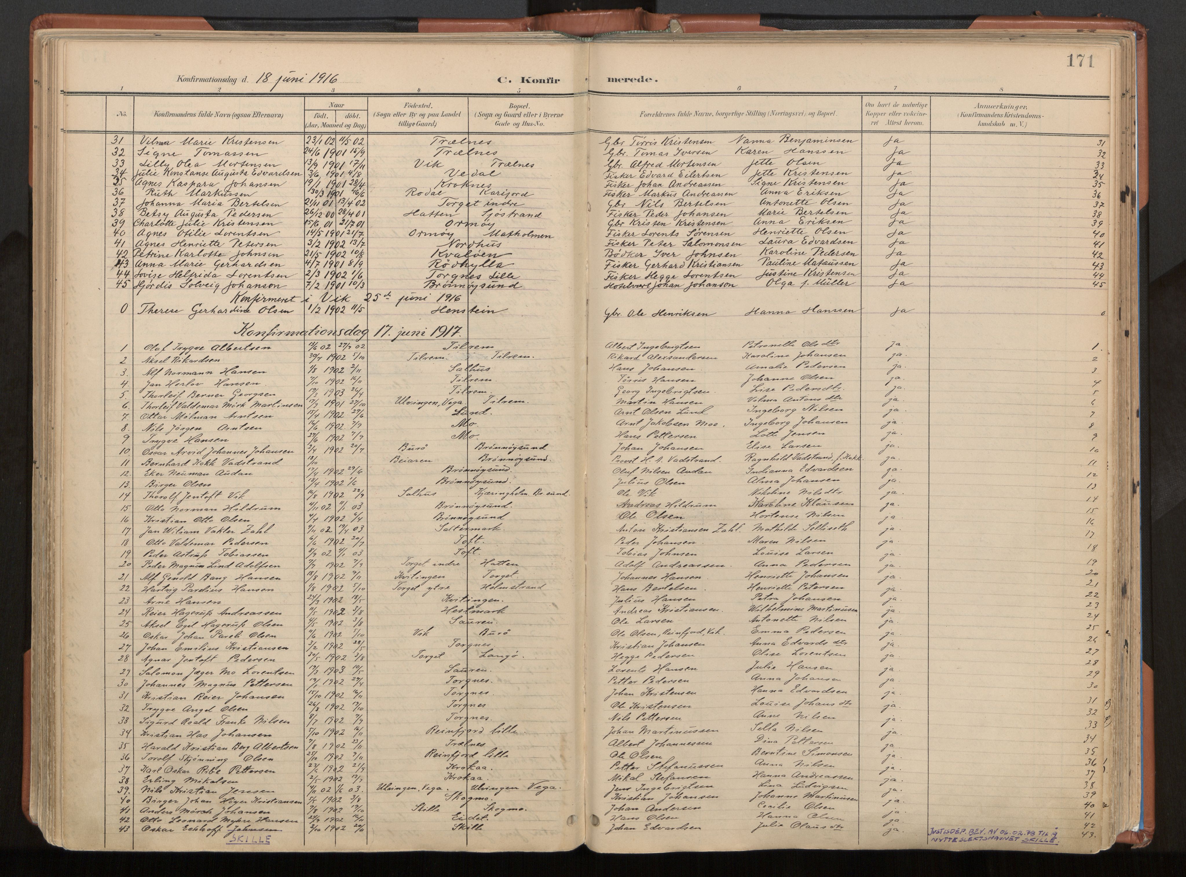 Ministerialprotokoller, klokkerbøker og fødselsregistre - Nordland, SAT/A-1459/813/L0201: Parish register (official) no. 813A11, 1901-1918, p. 171