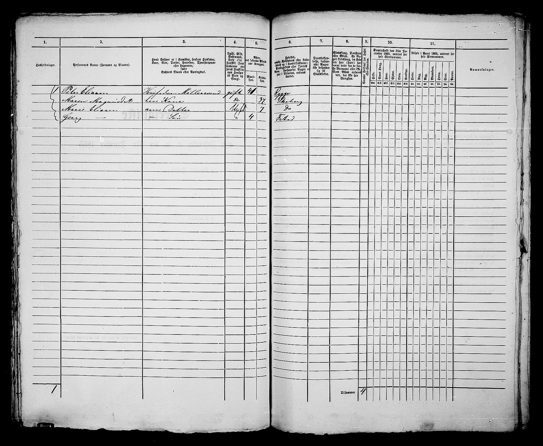 RA, 1865 census for Fredrikshald, 1865, p. 224