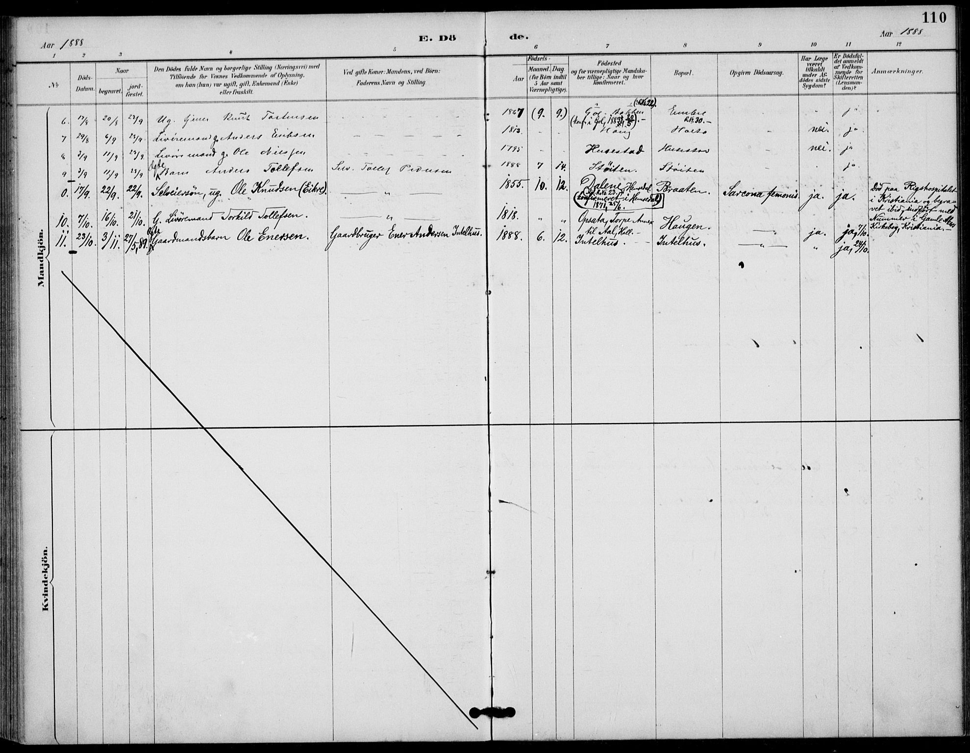 Gol kirkebøker, AV/SAKO-A-226/F/Fb/L0001: Parish register (official) no. II 1, 1887-1900, p. 110