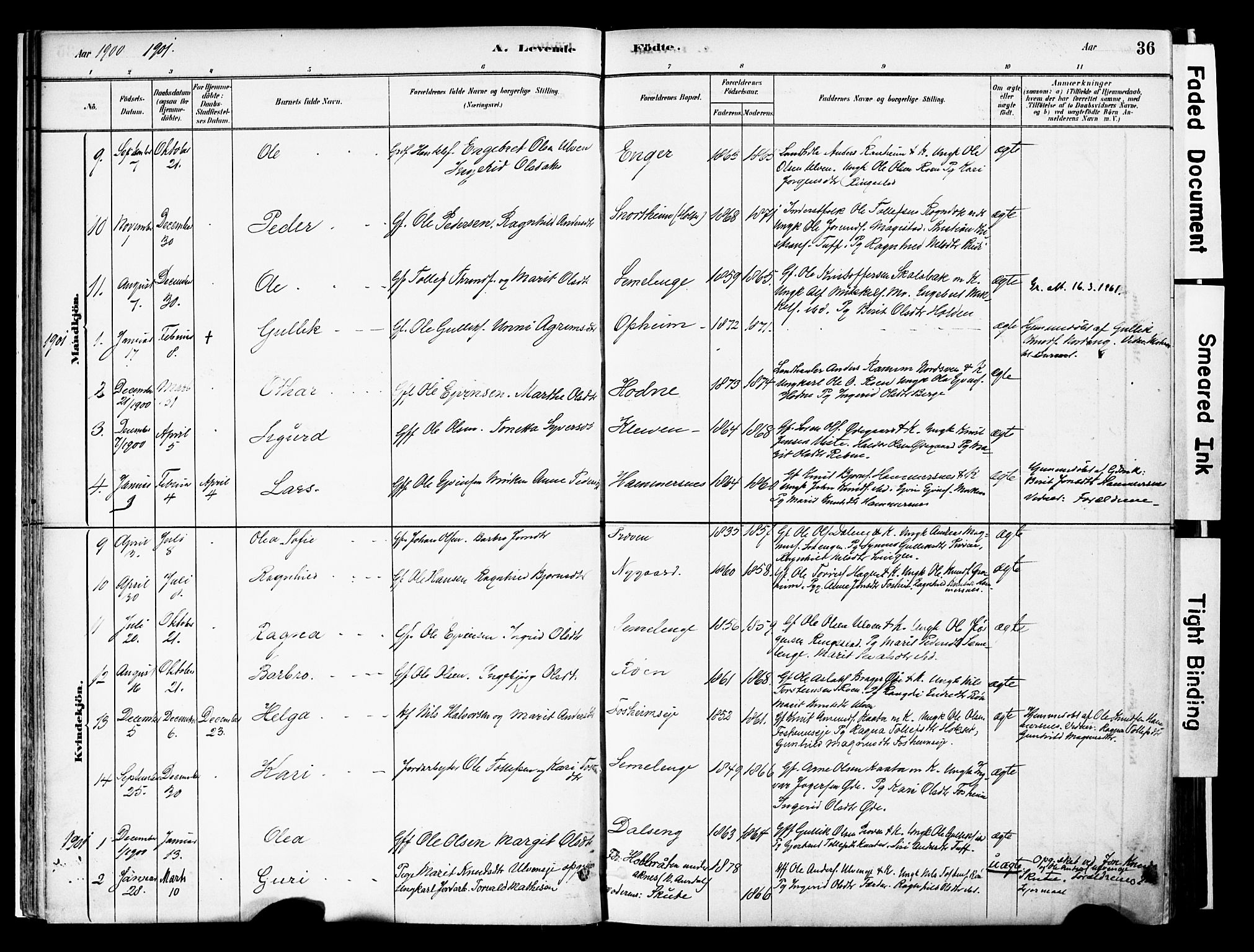 Vestre Slidre prestekontor, SAH/PREST-136/H/Ha/Haa/L0006: Parish register (official) no. 6, 1881-1912, p. 36