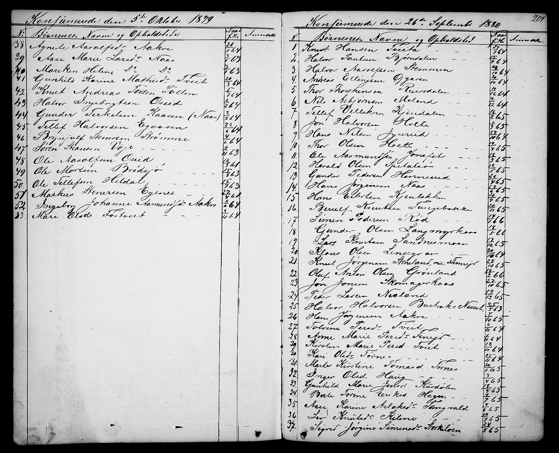 Drangedal kirkebøker, SAKO/A-258/G/Ga/L0002: Parish register (copy) no. I 2, 1856-1887, p. 204