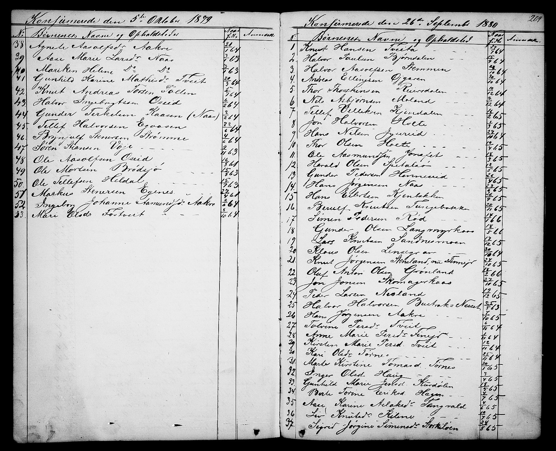 Drangedal kirkebøker, AV/SAKO-A-258/G/Ga/L0002: Parish register (copy) no. I 2, 1856-1887, p. 204