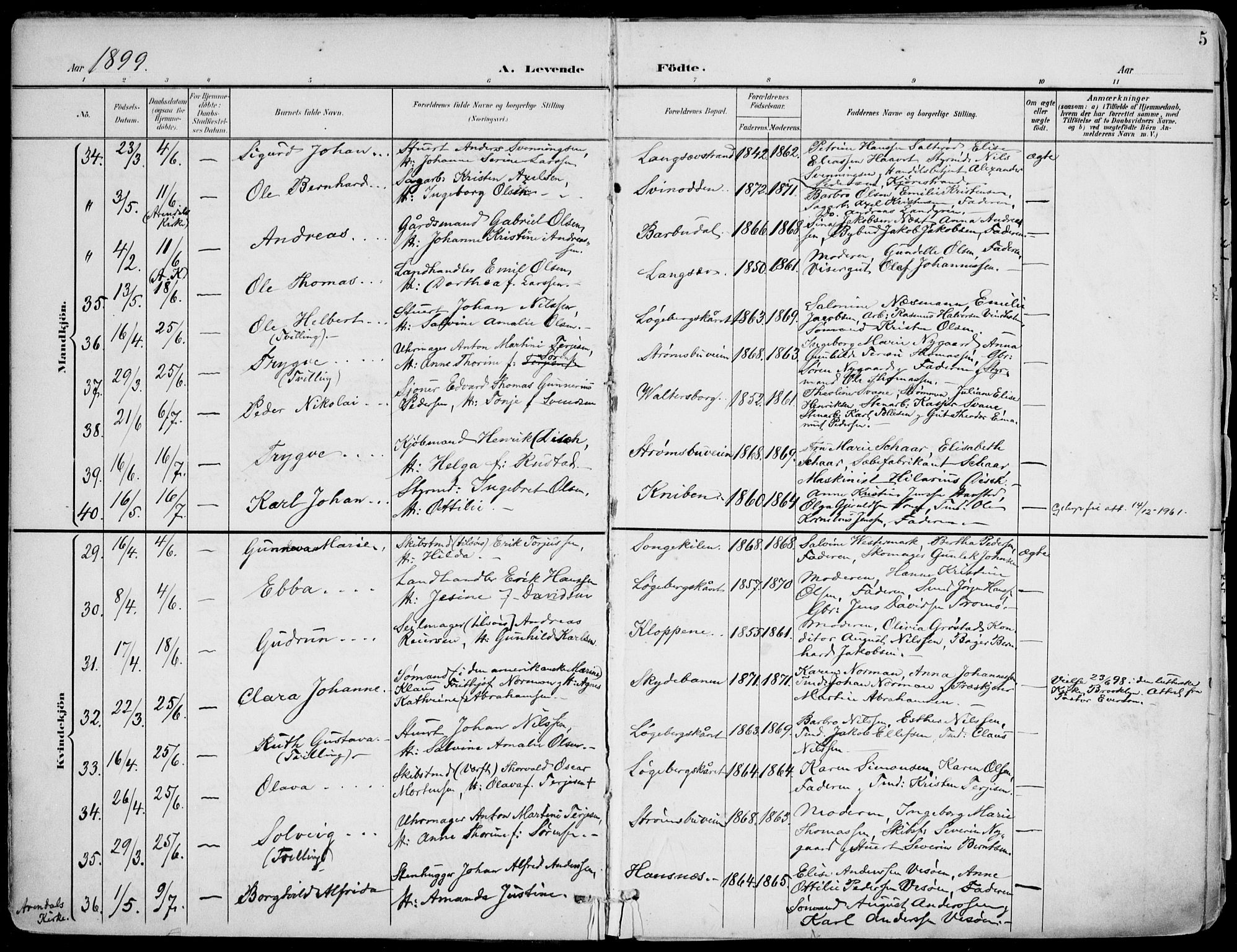 Barbu sokneprestkontor, AV/SAK-1111-0003/F/Fa/L0005: Parish register (official) no. A 5, 1899-1909, p. 5