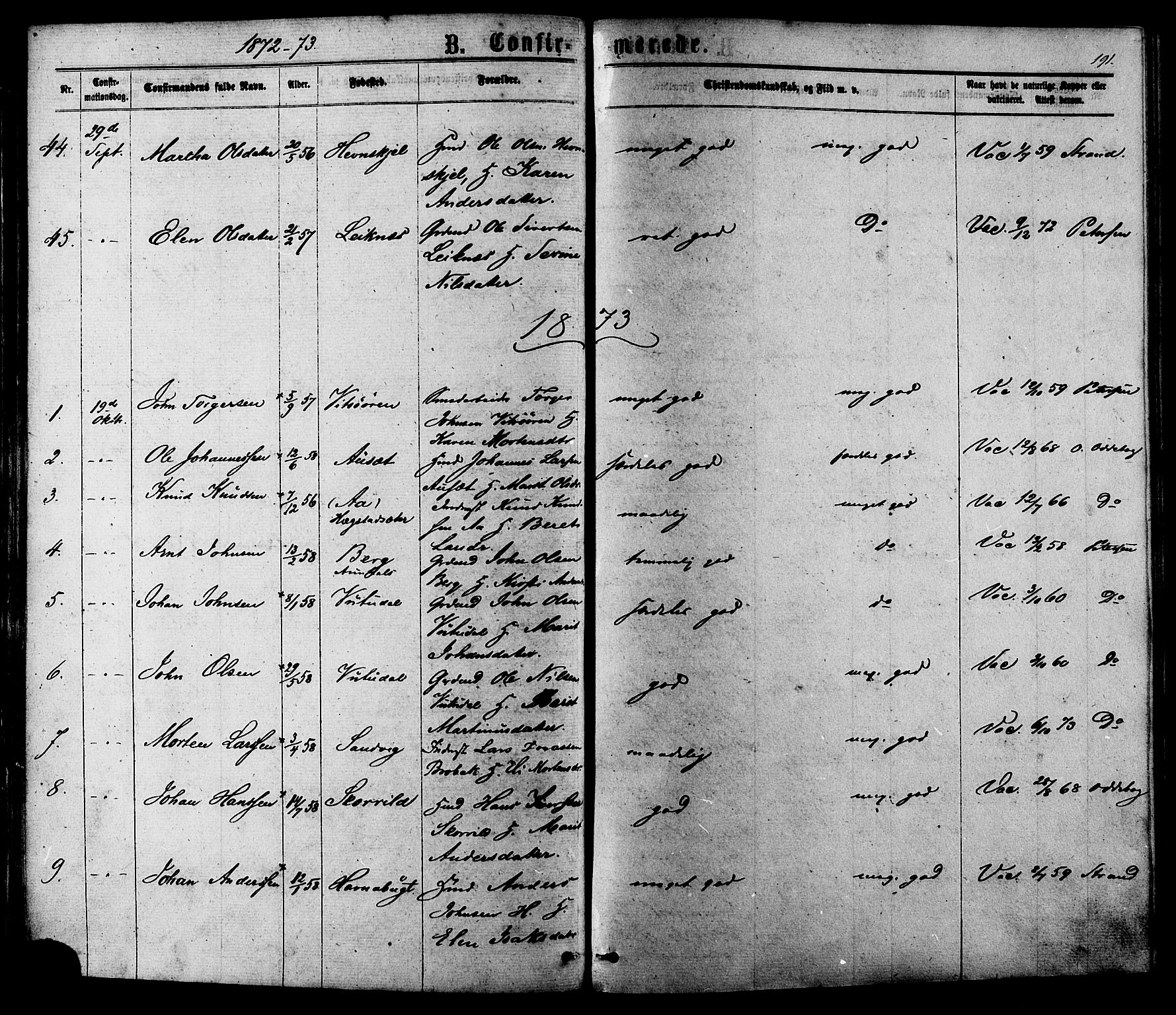 Ministerialprotokoller, klokkerbøker og fødselsregistre - Sør-Trøndelag, SAT/A-1456/630/L0495: Parish register (official) no. 630A08, 1868-1878, p. 191