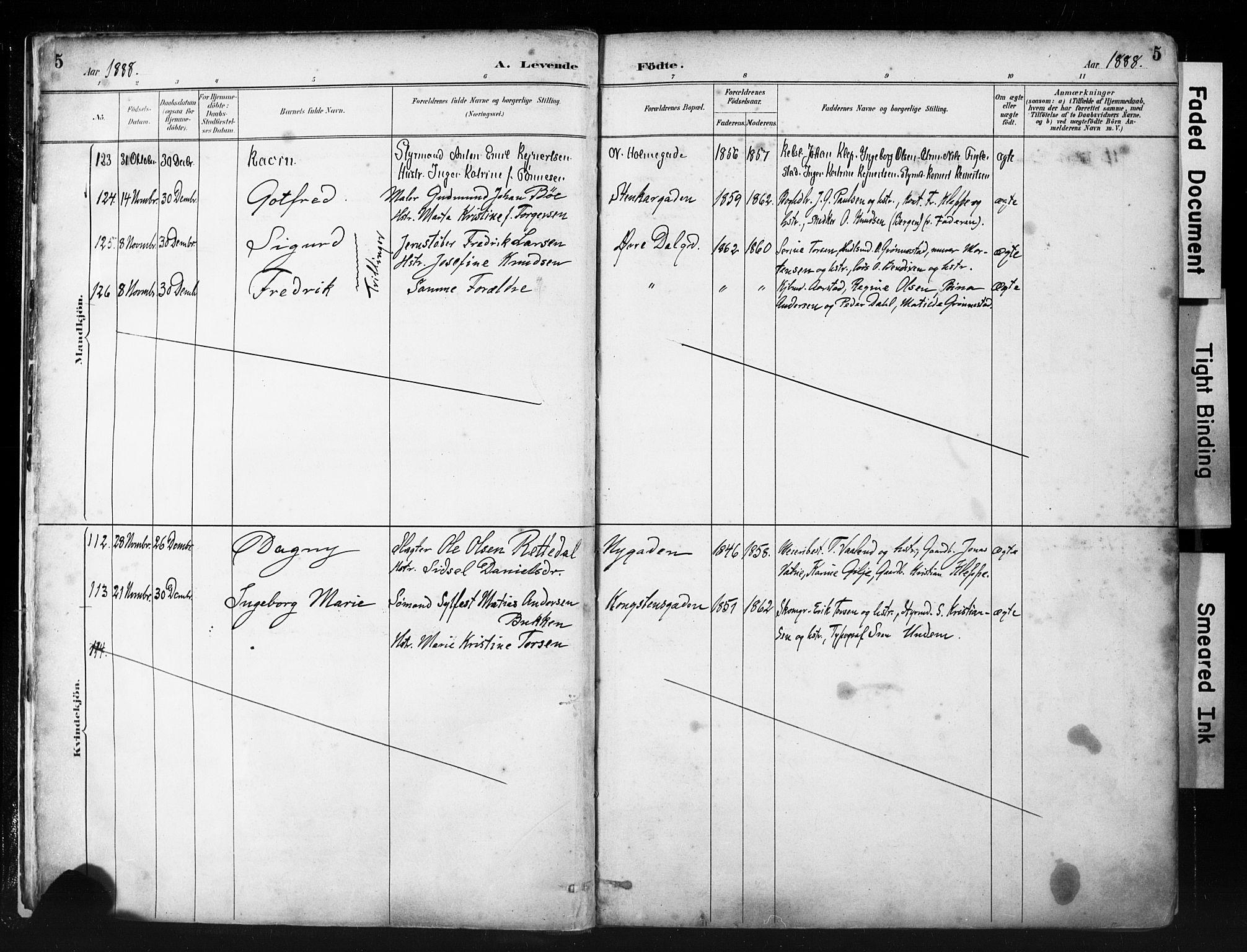 St. Petri sokneprestkontor, AV/SAST-A-101813/001/30/30BA/L0019: Parish register (official) no. A 20, 1888-1901, p. 5