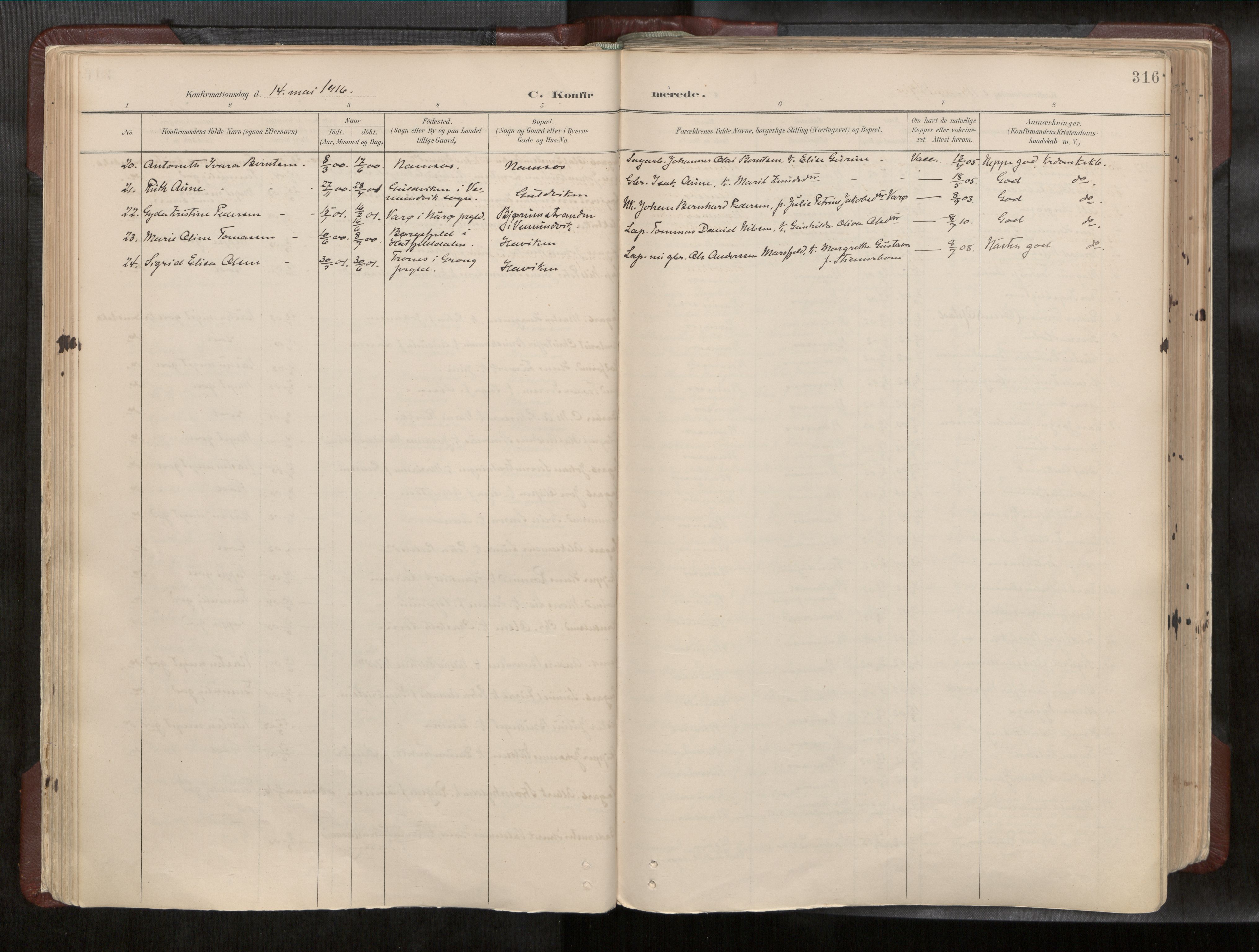 Ministerialprotokoller, klokkerbøker og fødselsregistre - Nord-Trøndelag, AV/SAT-A-1458/768/L0579a: Parish register (official) no. 768A14, 1887-1931, p. 316