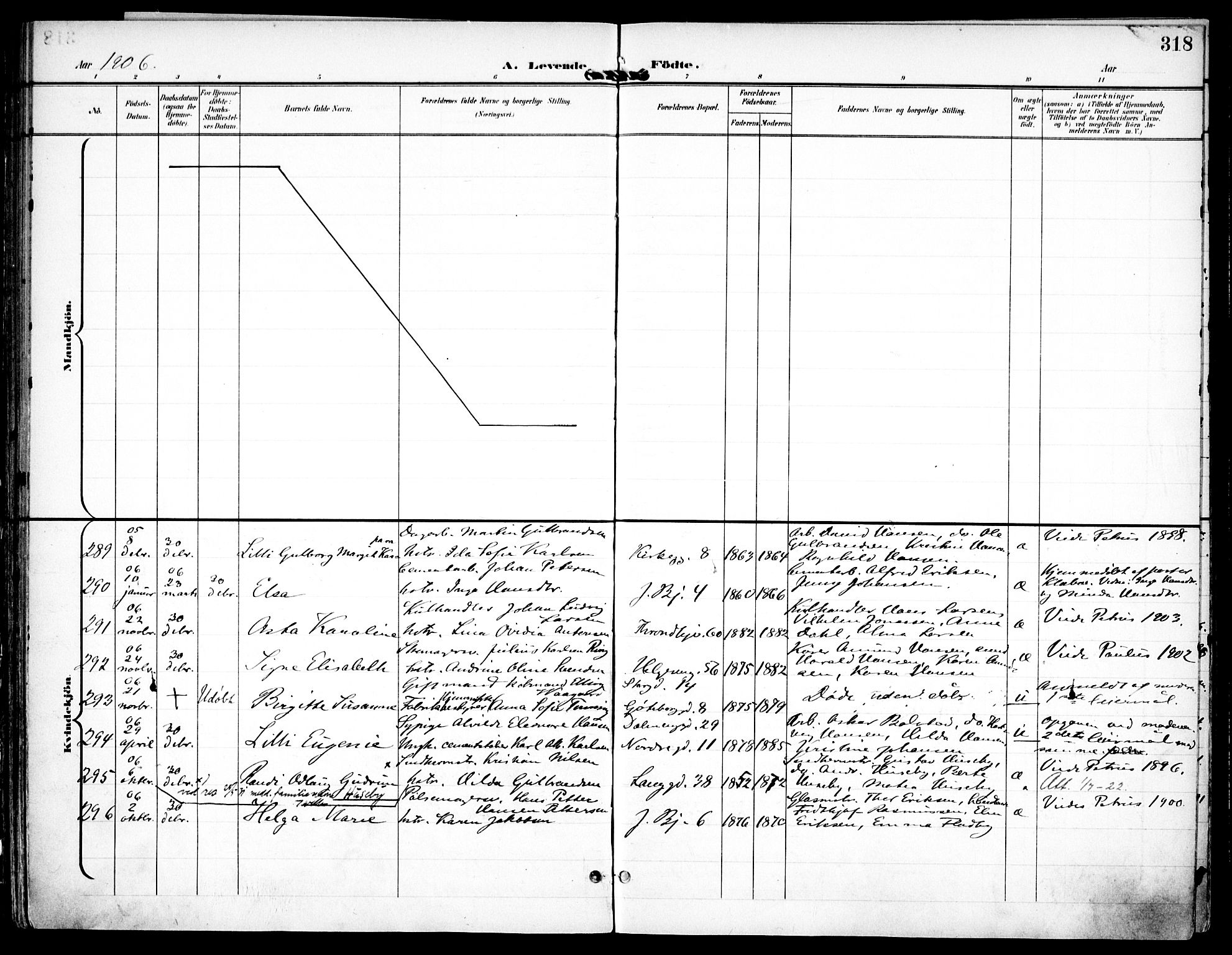 Petrus prestekontor Kirkebøker, AV/SAO-A-10872/F/Fa/L0008: Parish register (official) no. 8, 1899-1909, p. 318