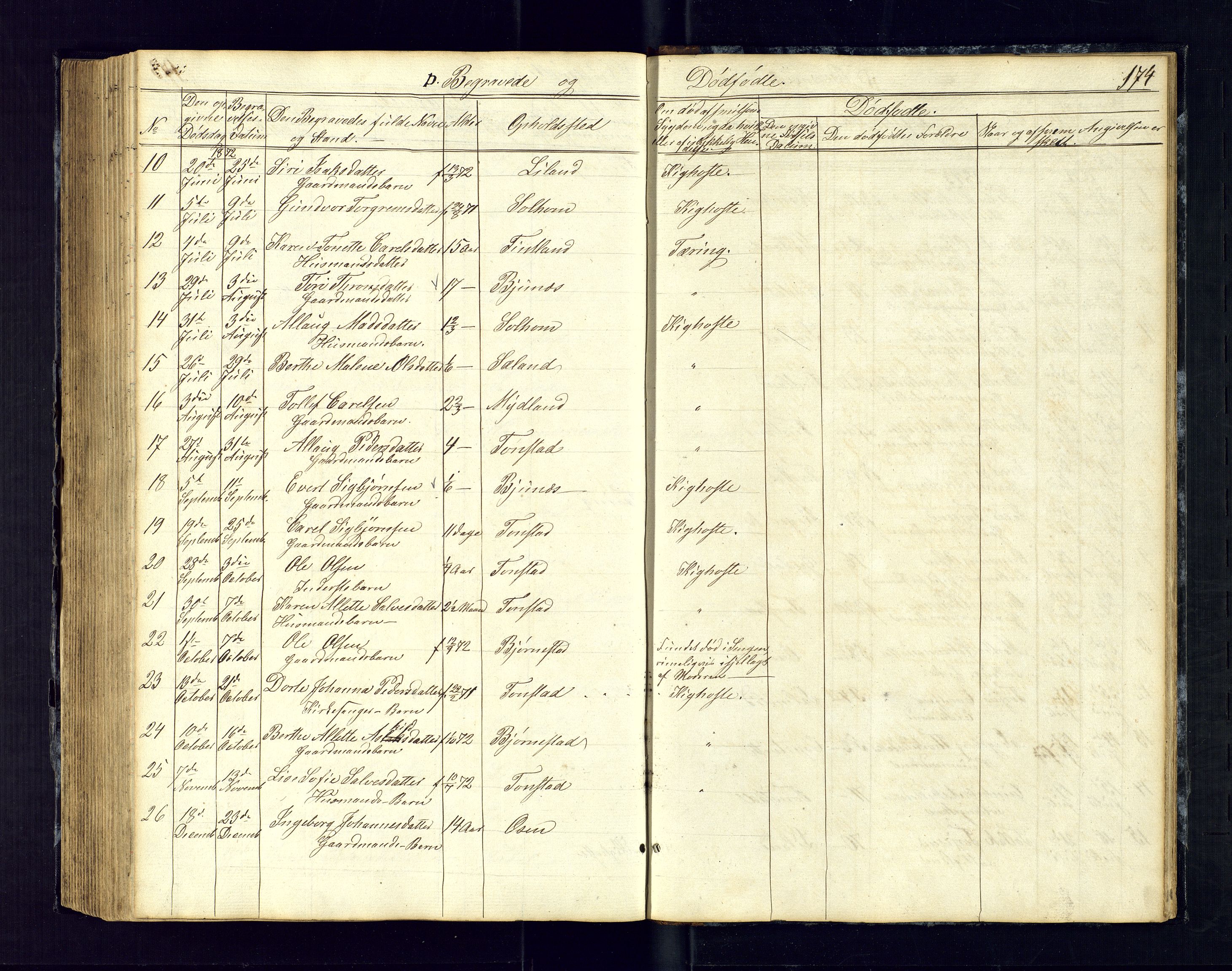 Sirdal sokneprestkontor, SAK/1111-0036/F/Fb/Fbb/L0002: Parish register (copy) no. B-2, 1848-1878, p. 174