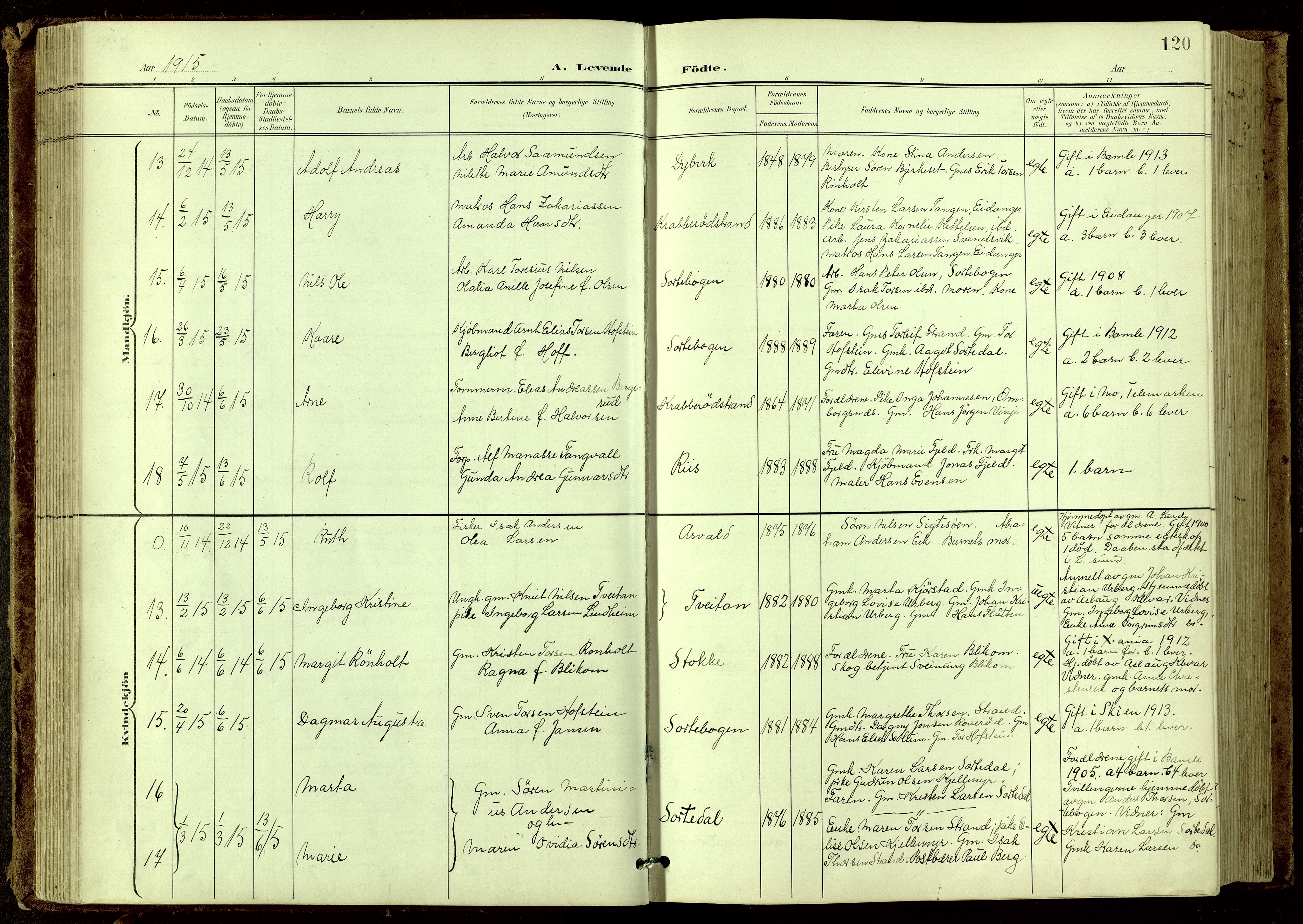 Bamble kirkebøker, SAKO/A-253/G/Ga/L0010: Parish register (copy) no. I 10, 1901-1919, p. 120