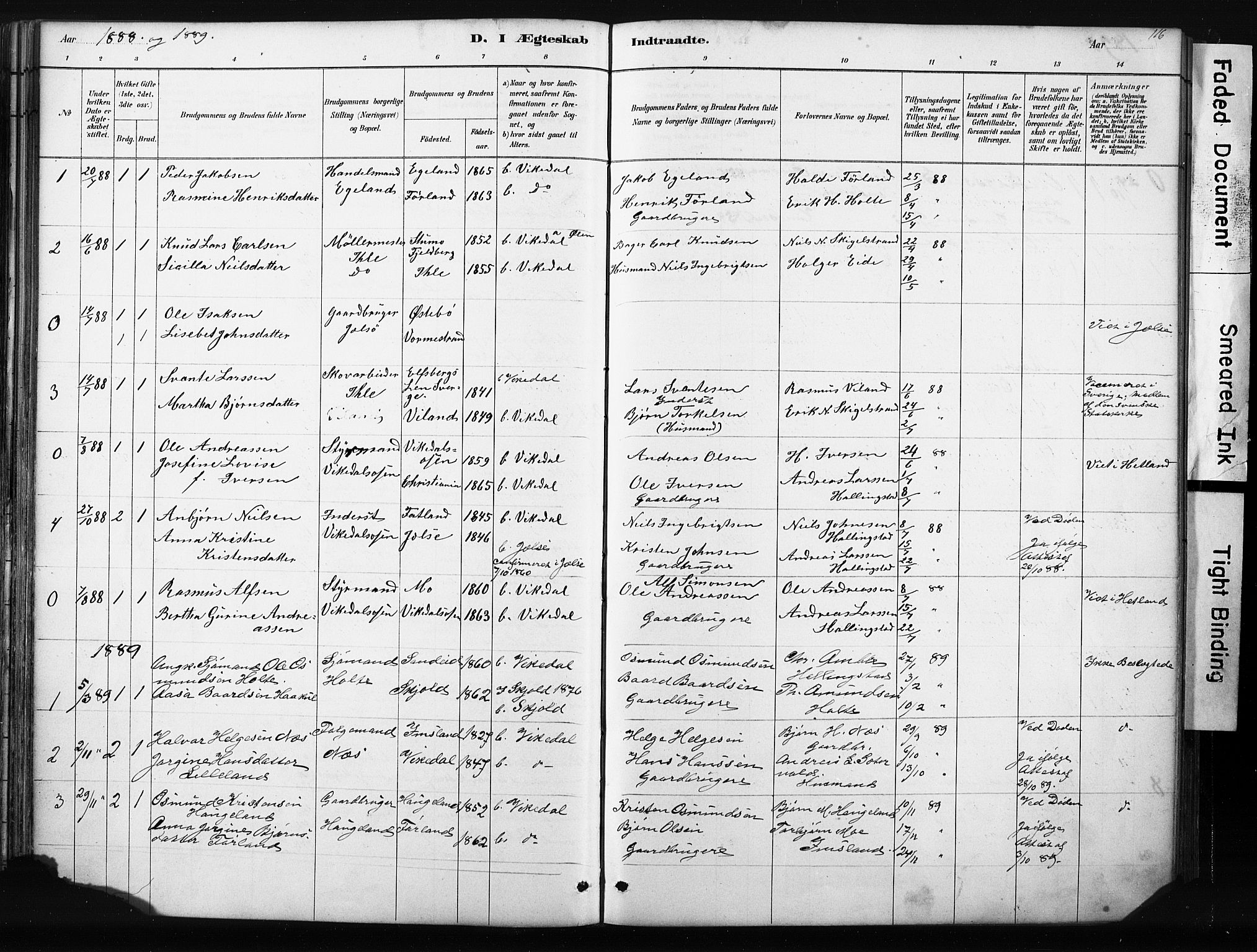 Vikedal sokneprestkontor, AV/SAST-A-101840/01/IV: Parish register (official) no. A 10, 1884-1907, p. 116