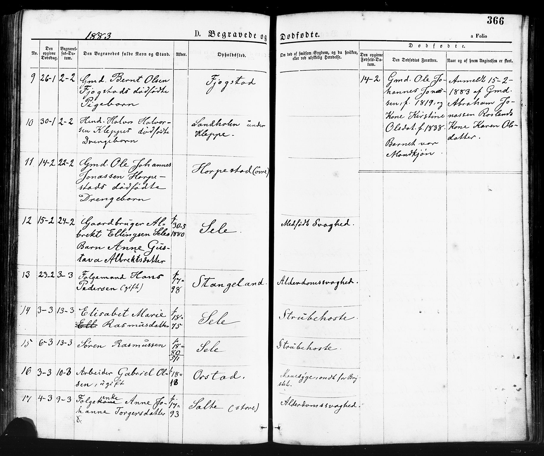 Klepp sokneprestkontor, AV/SAST-A-101803/001/3/30BA/L0006: Parish register (official) no. A 6, 1871-1885, p. 366