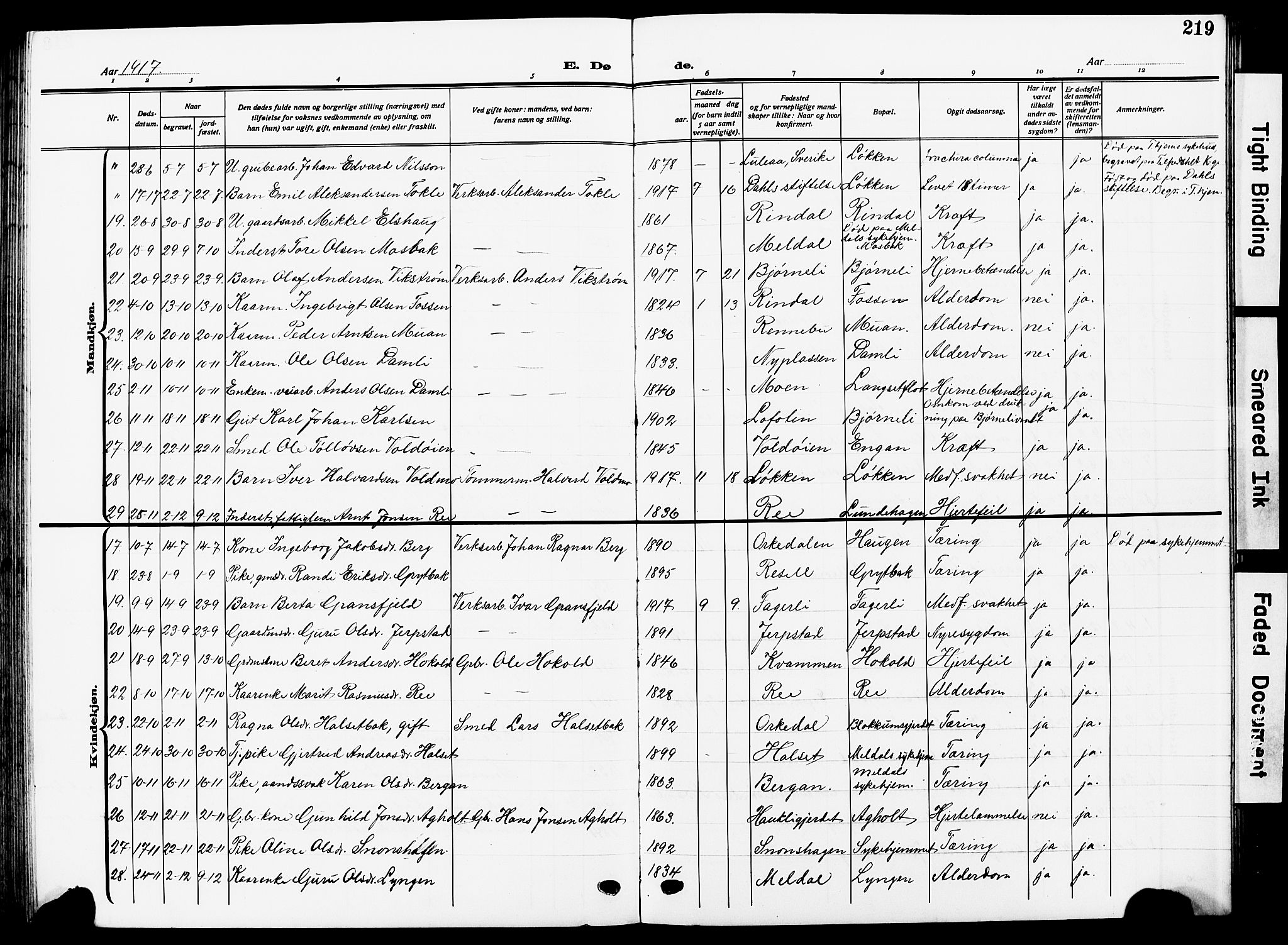 Ministerialprotokoller, klokkerbøker og fødselsregistre - Sør-Trøndelag, SAT/A-1456/672/L0865: Parish register (copy) no. 672C04, 1914-1928, p. 219