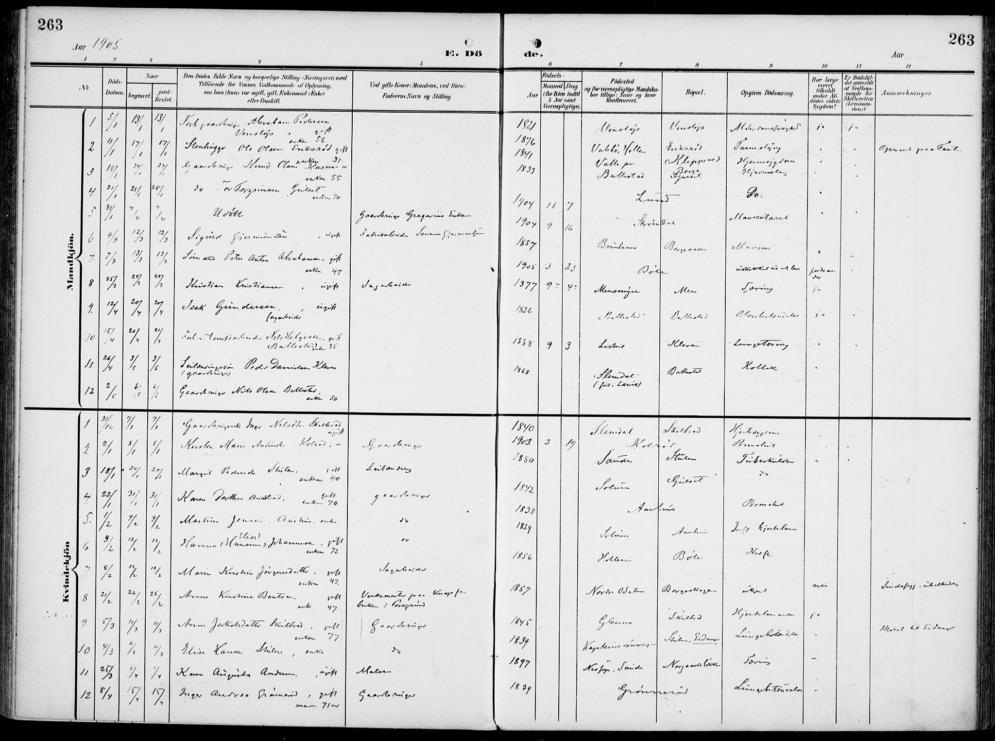 Gjerpen kirkebøker, SAKO/A-265/F/Fa/L0012: Parish register (official) no. I 12, 1905-1913, p. 263