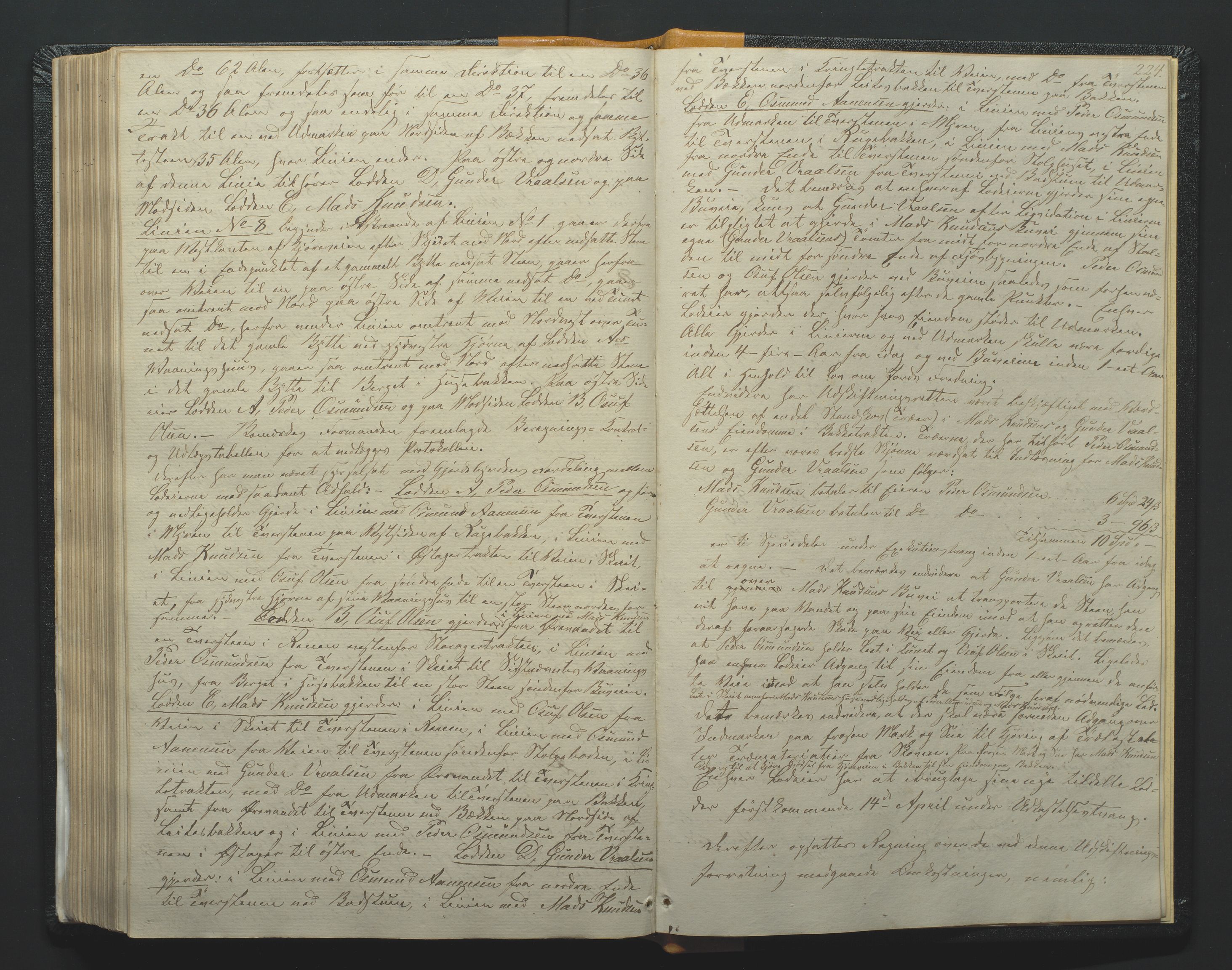 Utskiftningsformannen i Nedenes amt, AV/SAK-1541-0002/F/Fa/Faa/L0002: Utskiftningsprotokoll med gårdsregister, Nedenes amt nr 2, 1860-1867, p. 224