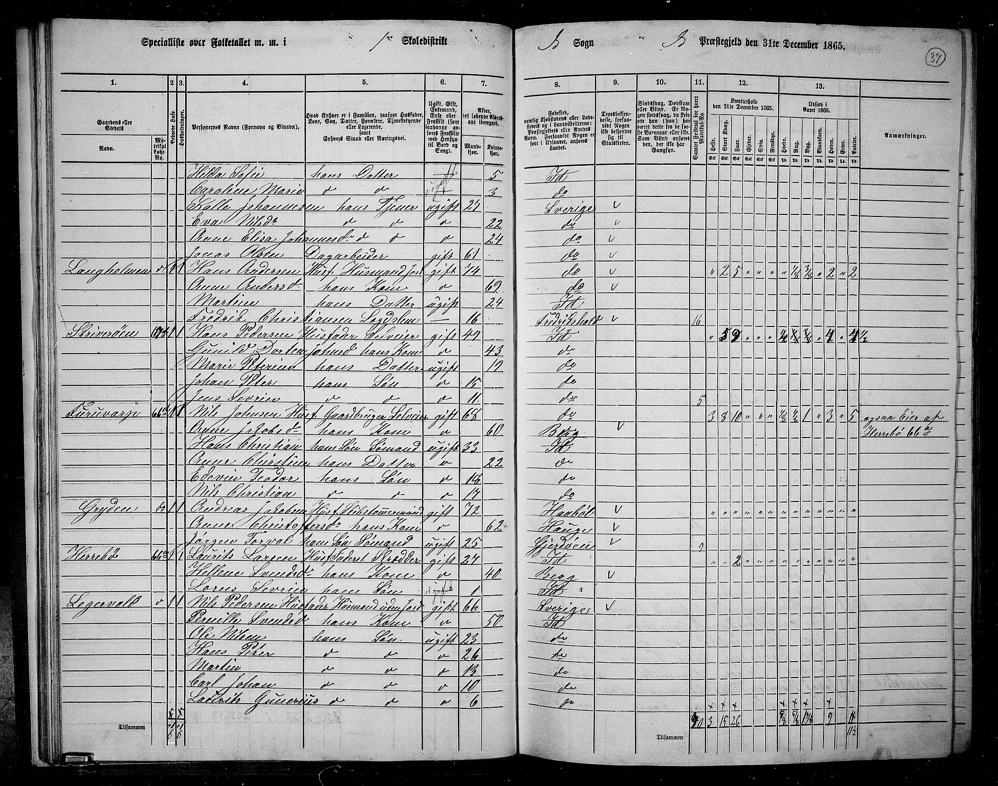 RA, 1865 census for Idd, 1865, p. 35