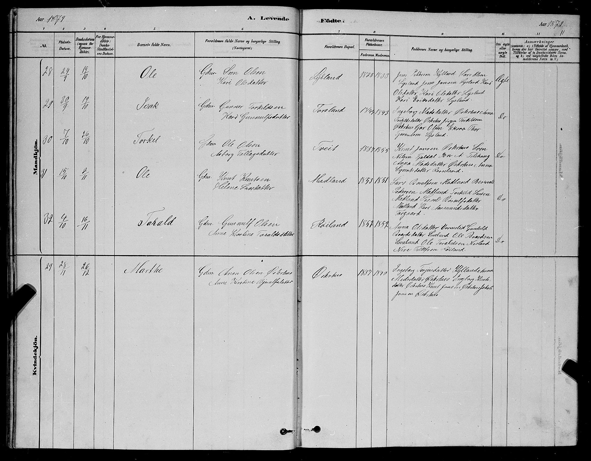 Åseral sokneprestkontor, AV/SAK-1111-0051/F/Fb/L0002: Parish register (copy) no. B 2, 1878-1899, p. 11