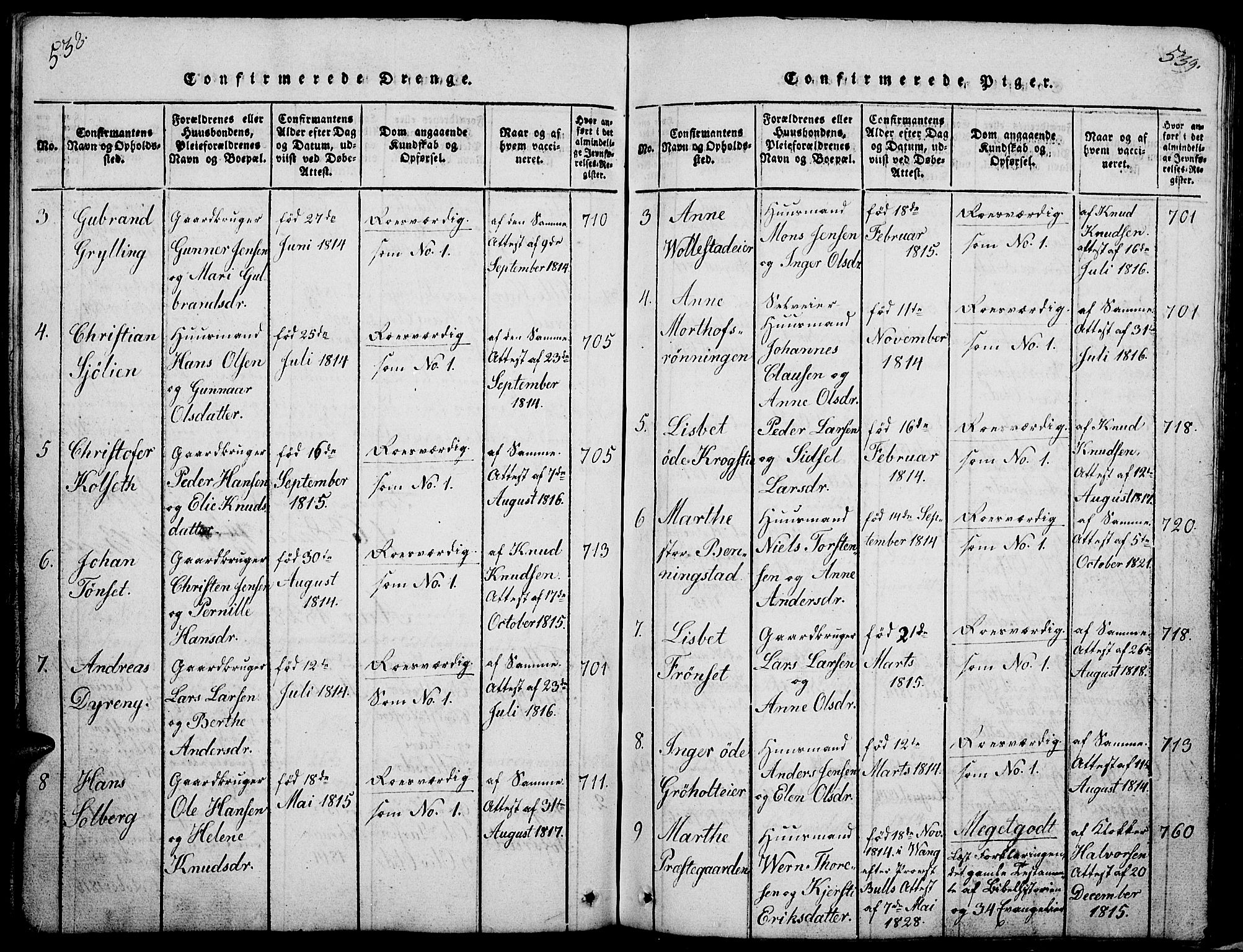 Løten prestekontor, AV/SAH-PREST-022/L/La/L0001: Parish register (copy) no. 1, 1812-1832, p. 538-539