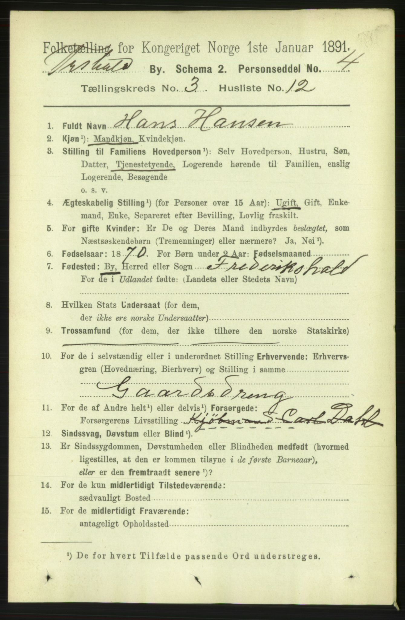 RA, 1891 census for 0101 Fredrikshald, 1891, p. 3397