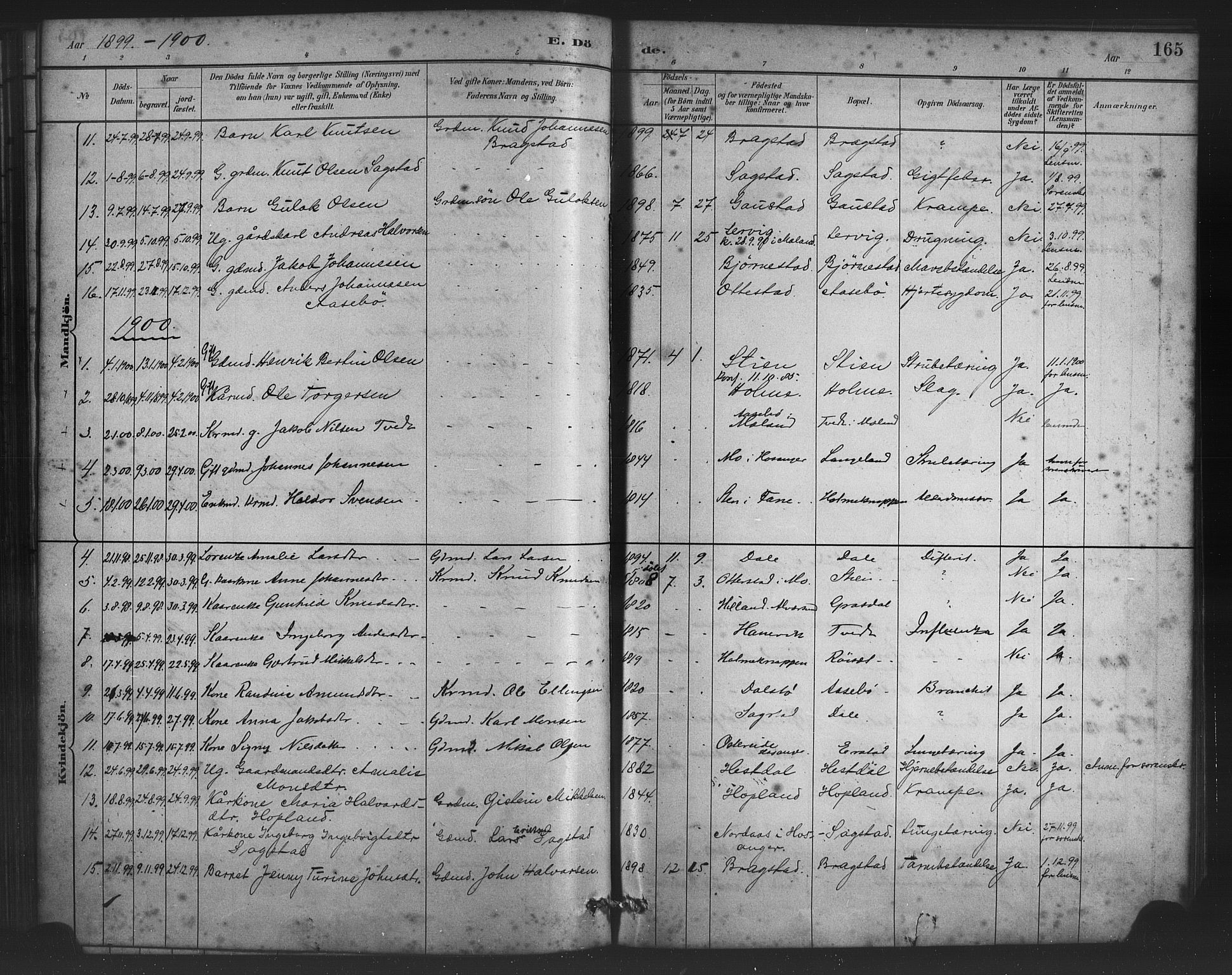 Alversund Sokneprestembete, AV/SAB-A-73901/H/Ha/Haa/Haac/L0001: Parish register (official) no. C 1, 1882-1900, p. 165