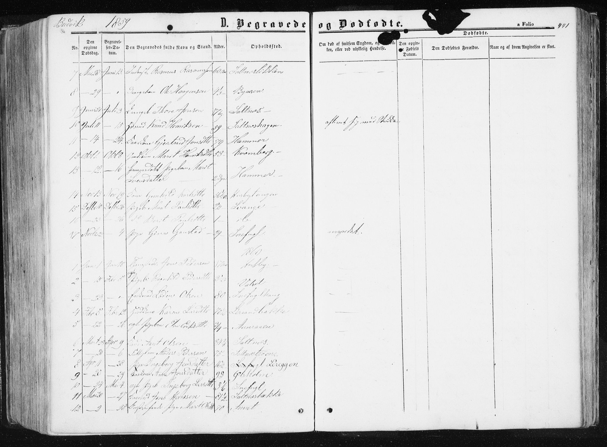 Ministerialprotokoller, klokkerbøker og fødselsregistre - Sør-Trøndelag, SAT/A-1456/612/L0377: Parish register (official) no. 612A09, 1859-1877, p. 441
