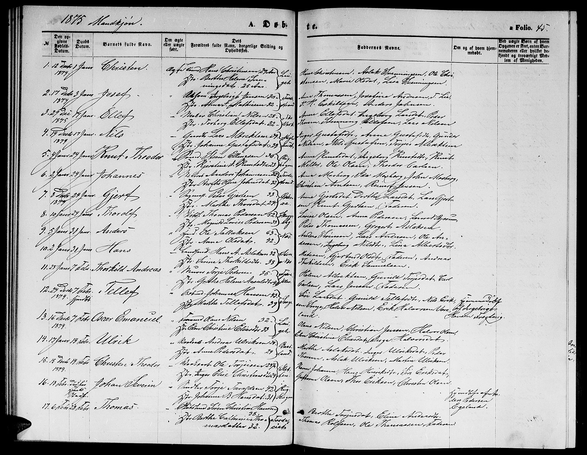 Holt sokneprestkontor, SAK/1111-0021/F/Fb/L0009: Parish register (copy) no. B 9, 1871-1883, p. 45