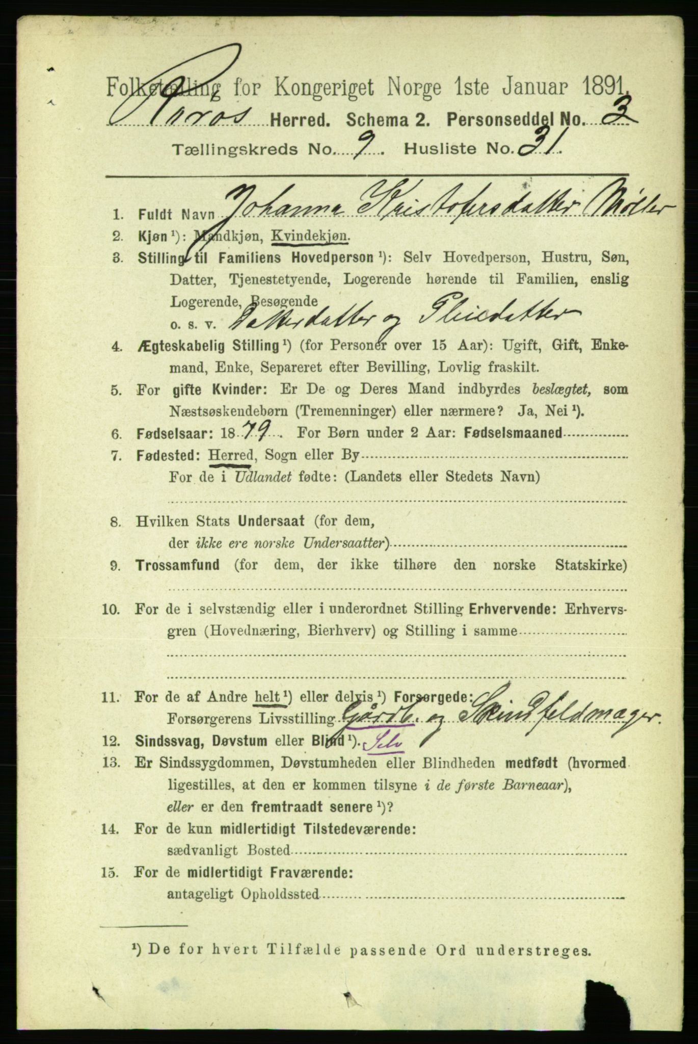 RA, 1891 census for 1640 Røros, 1891, p. 1981