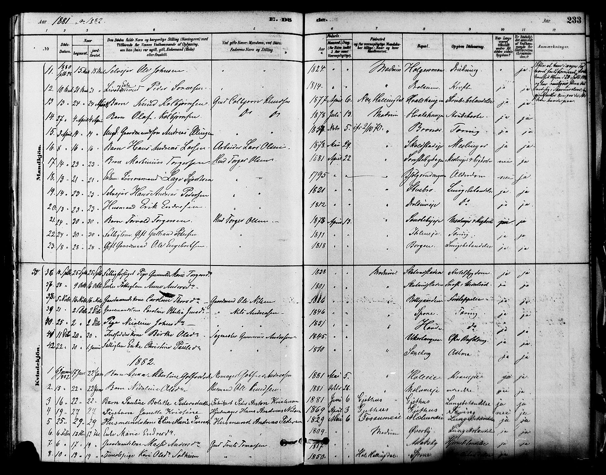 Modum kirkebøker, AV/SAKO-A-234/F/Fa/L0011: Parish register (official) no. 11, 1877-1889, p. 233