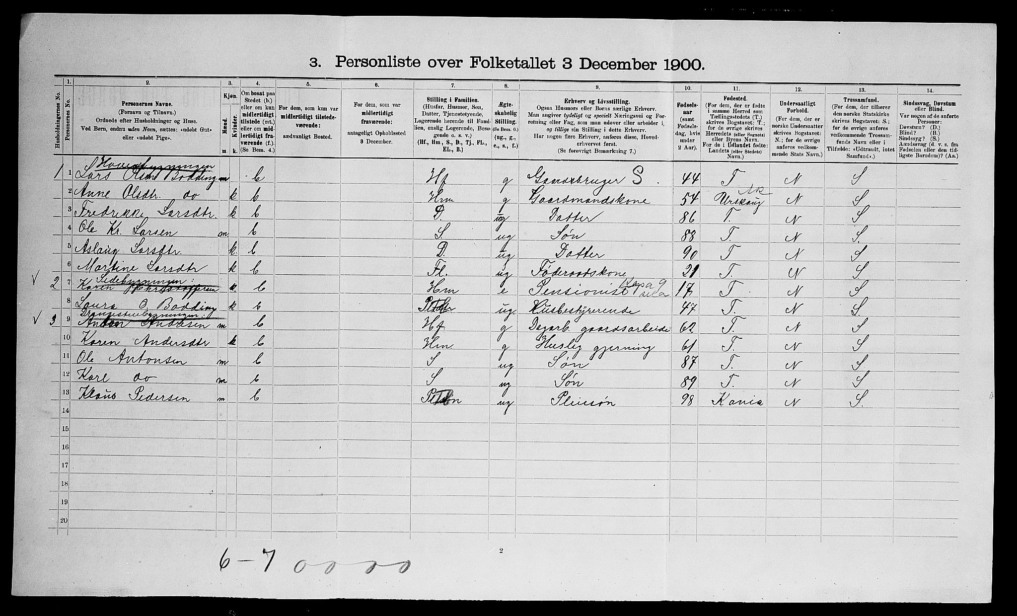 SAO, 1900 census for Nes, 1900