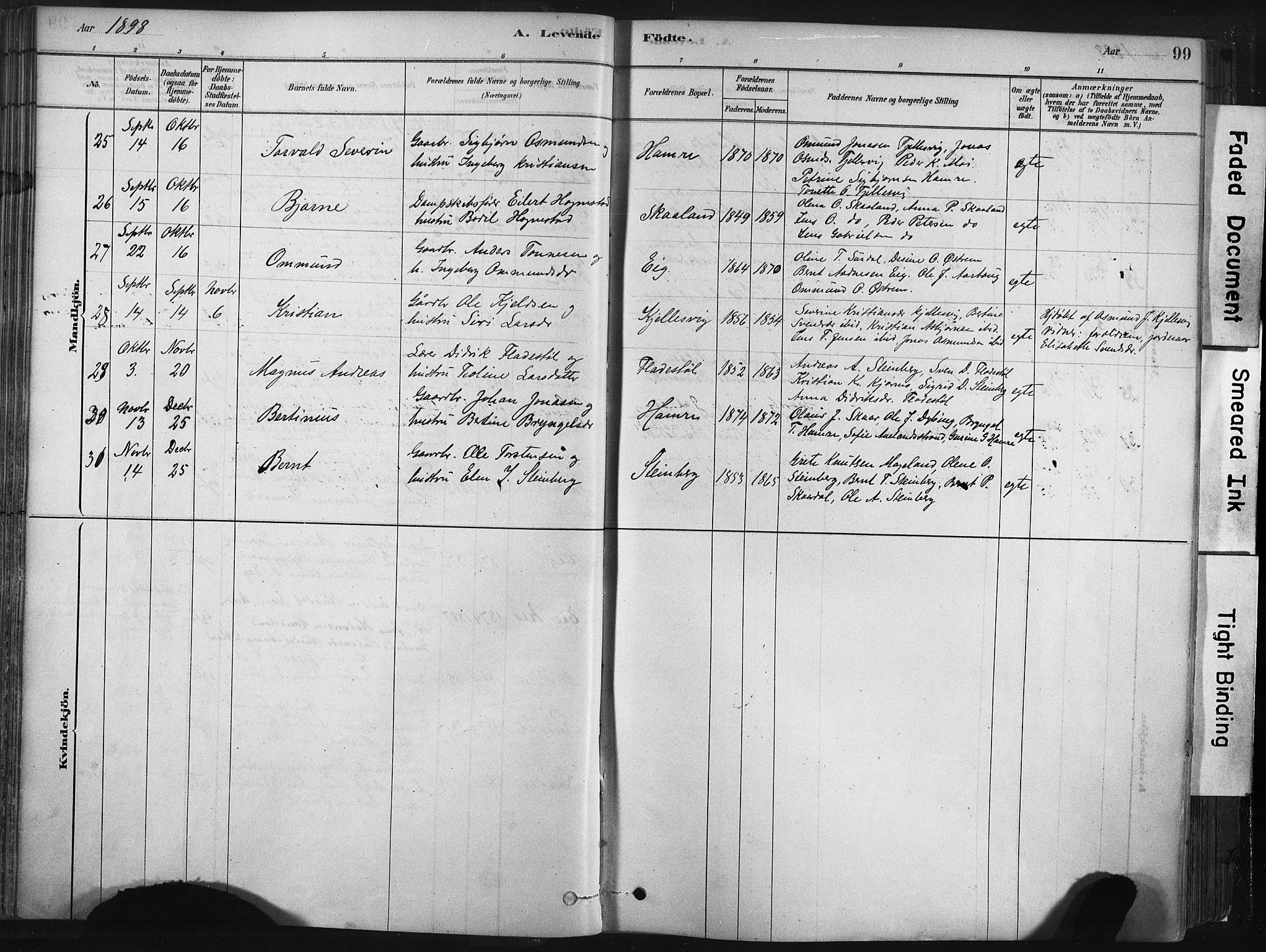 Lund sokneprestkontor, AV/SAST-A-101809/S06/L0011: Parish register (official) no. A 10, 1877-1904, p. 99