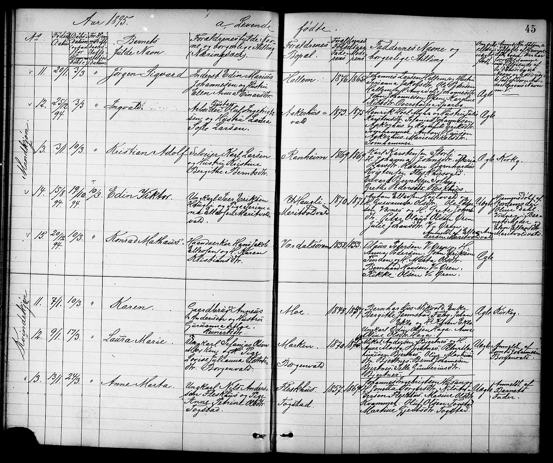 Ministerialprotokoller, klokkerbøker og fødselsregistre - Nord-Trøndelag, AV/SAT-A-1458/723/L0257: Parish register (copy) no. 723C05, 1890-1907, p. 45