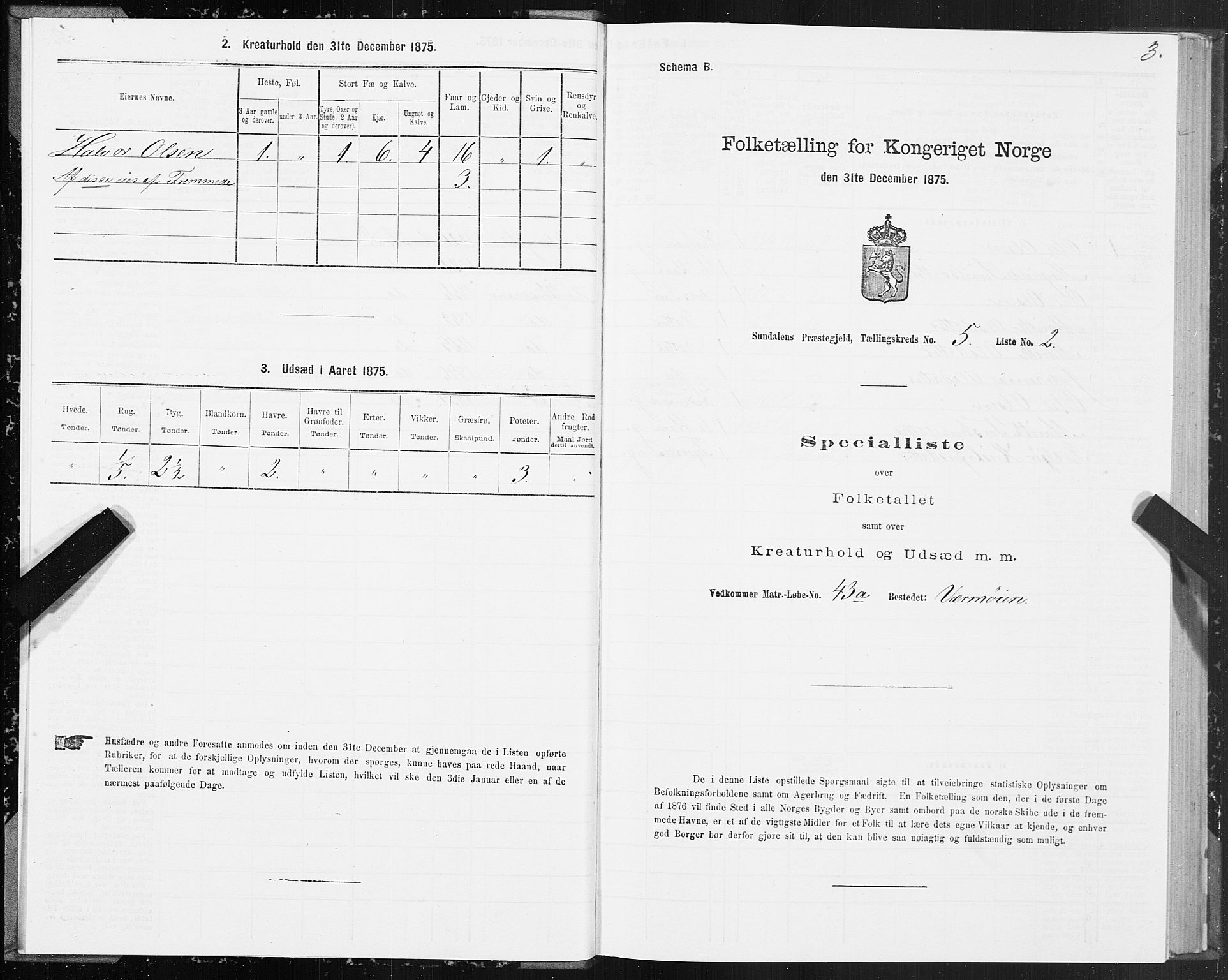 SAT, 1875 census for 1563P Sunndal, 1875, p. 2003