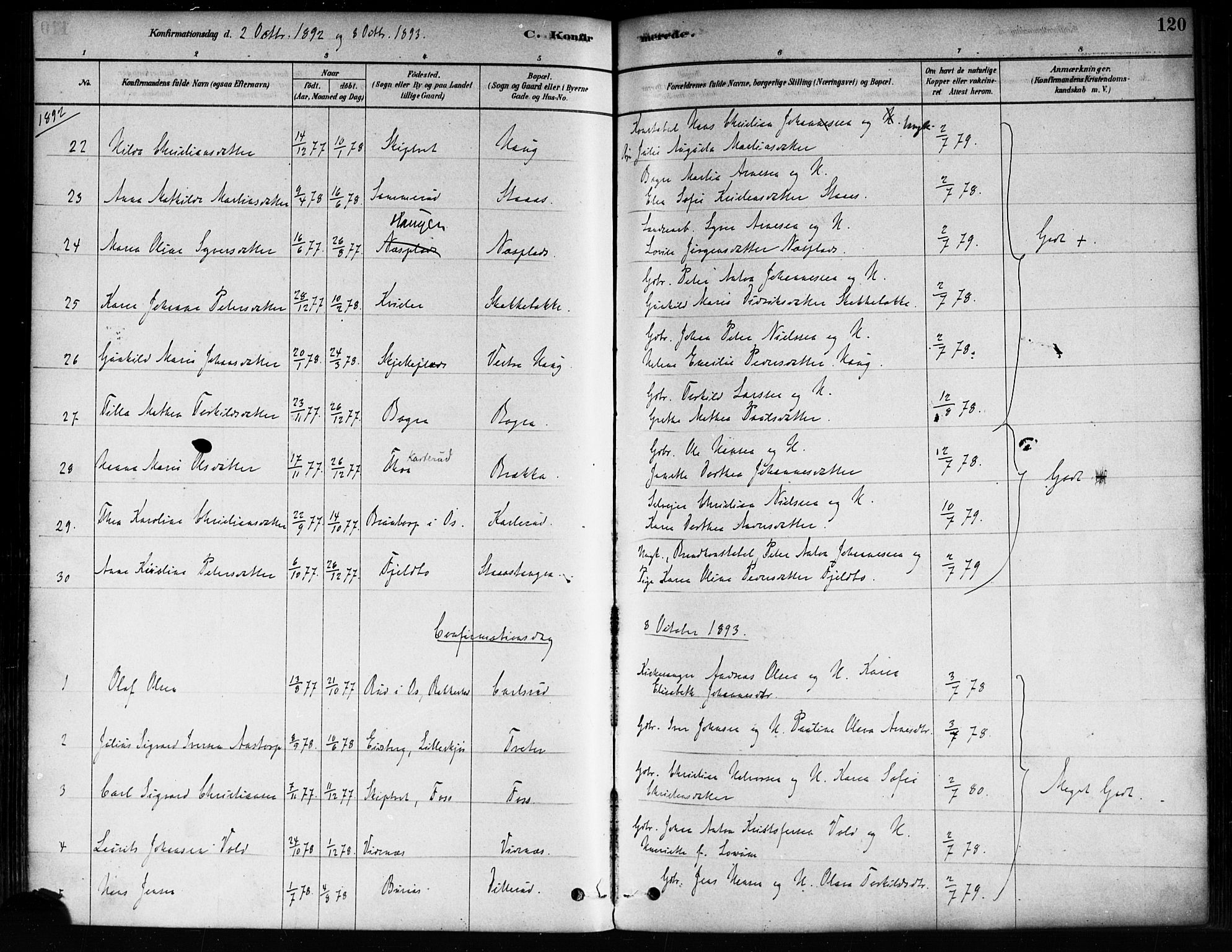 Skiptvet prestekontor Kirkebøker, AV/SAO-A-20009/F/Fa/L0009: Parish register (official) no. 9, 1878-1900, p. 120