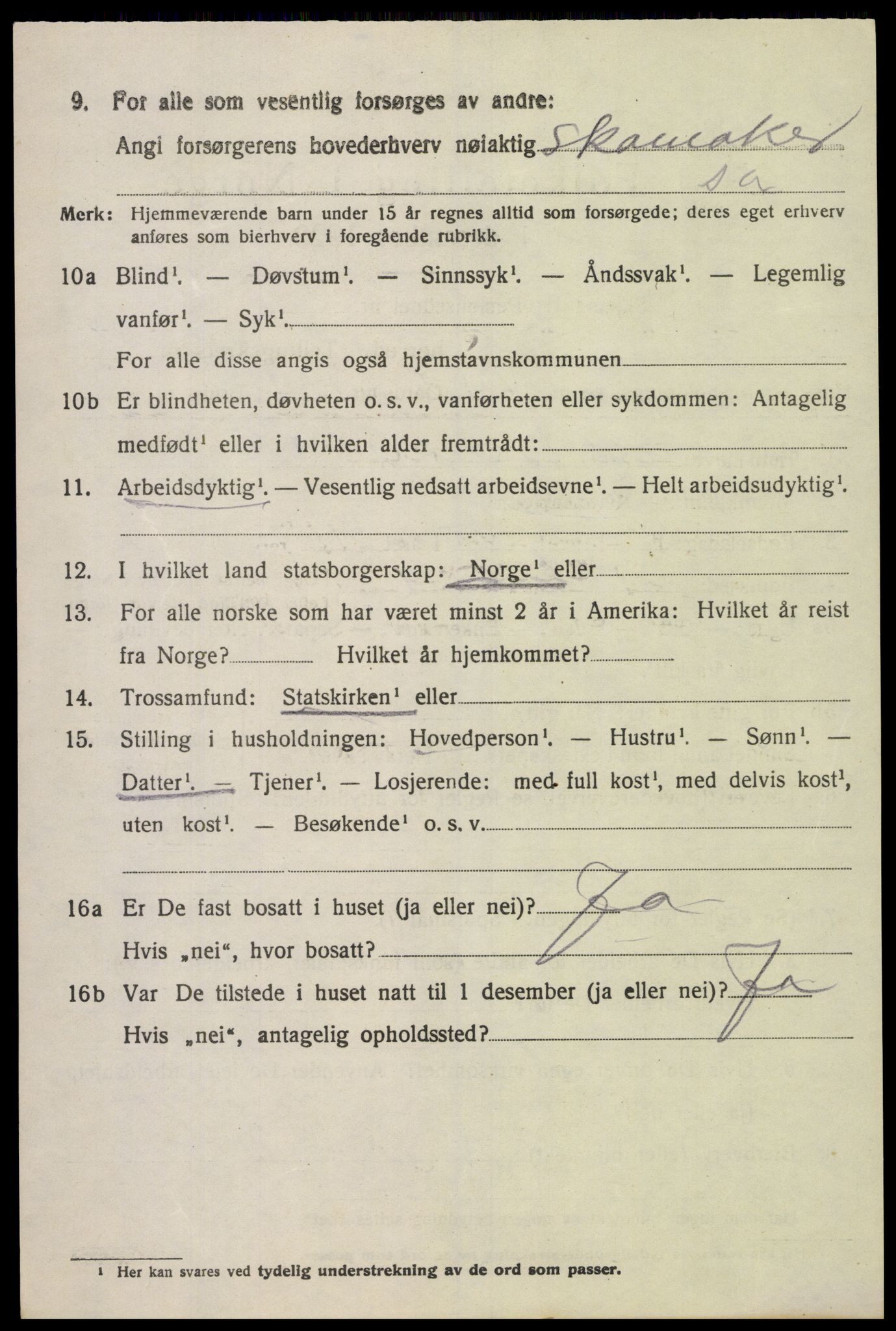 SAK, 1920 census for Sør-Audnedal, 1920, p. 4212